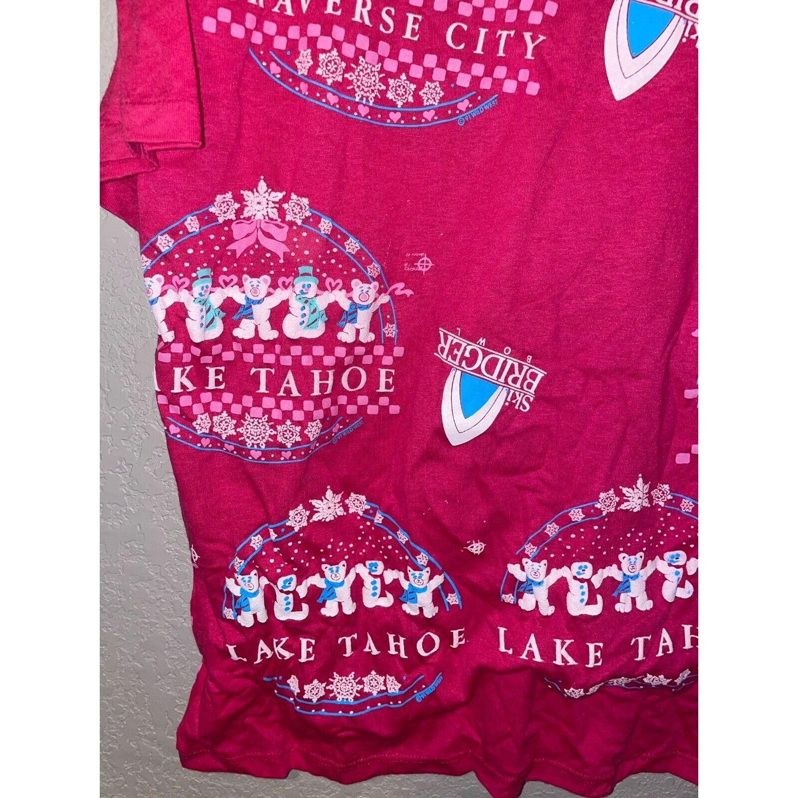 Jerzees Vintage Test Print Shirt Lake Tahoe Napa Bears Tee VTG 90s L Size US L / EU 52-54 / 3 - 14 Thumbnail