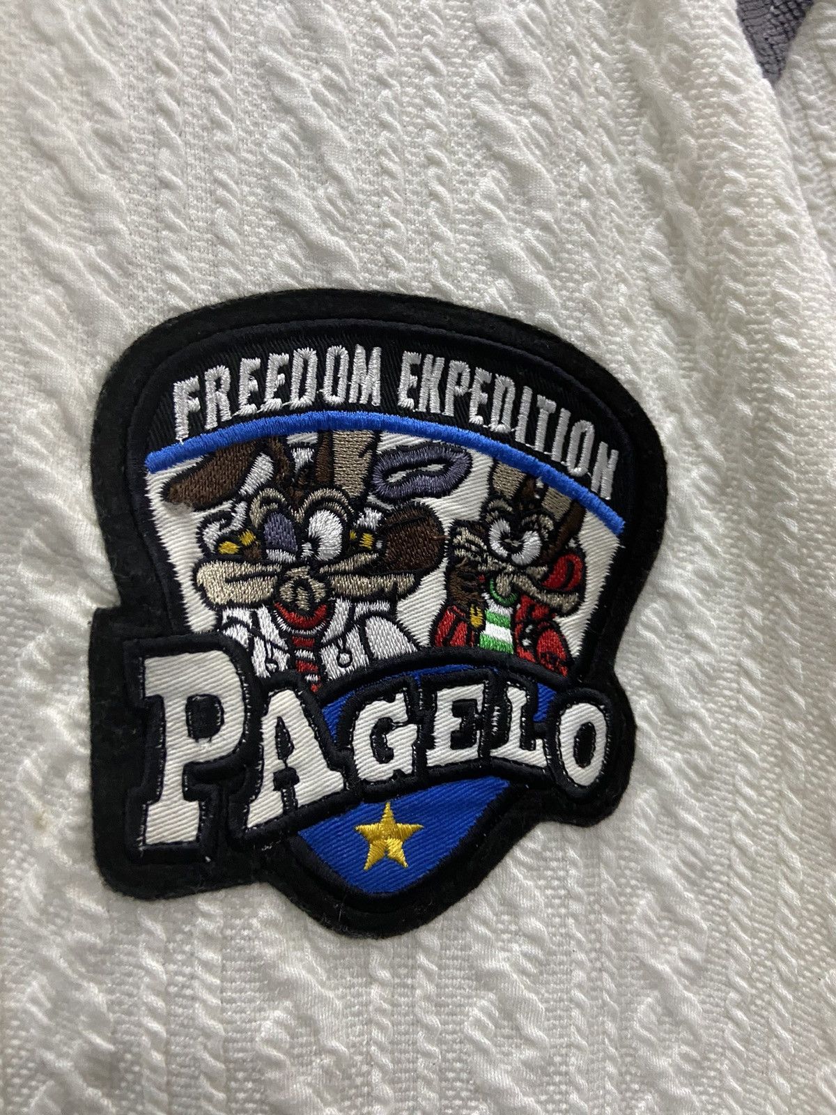 Vintage PAGELO FREEDOM EXPEDITION EMBROIDERY LOGO ZIPPER SWEATER Size US L / EU 52-54 / 3 - 4 Thumbnail