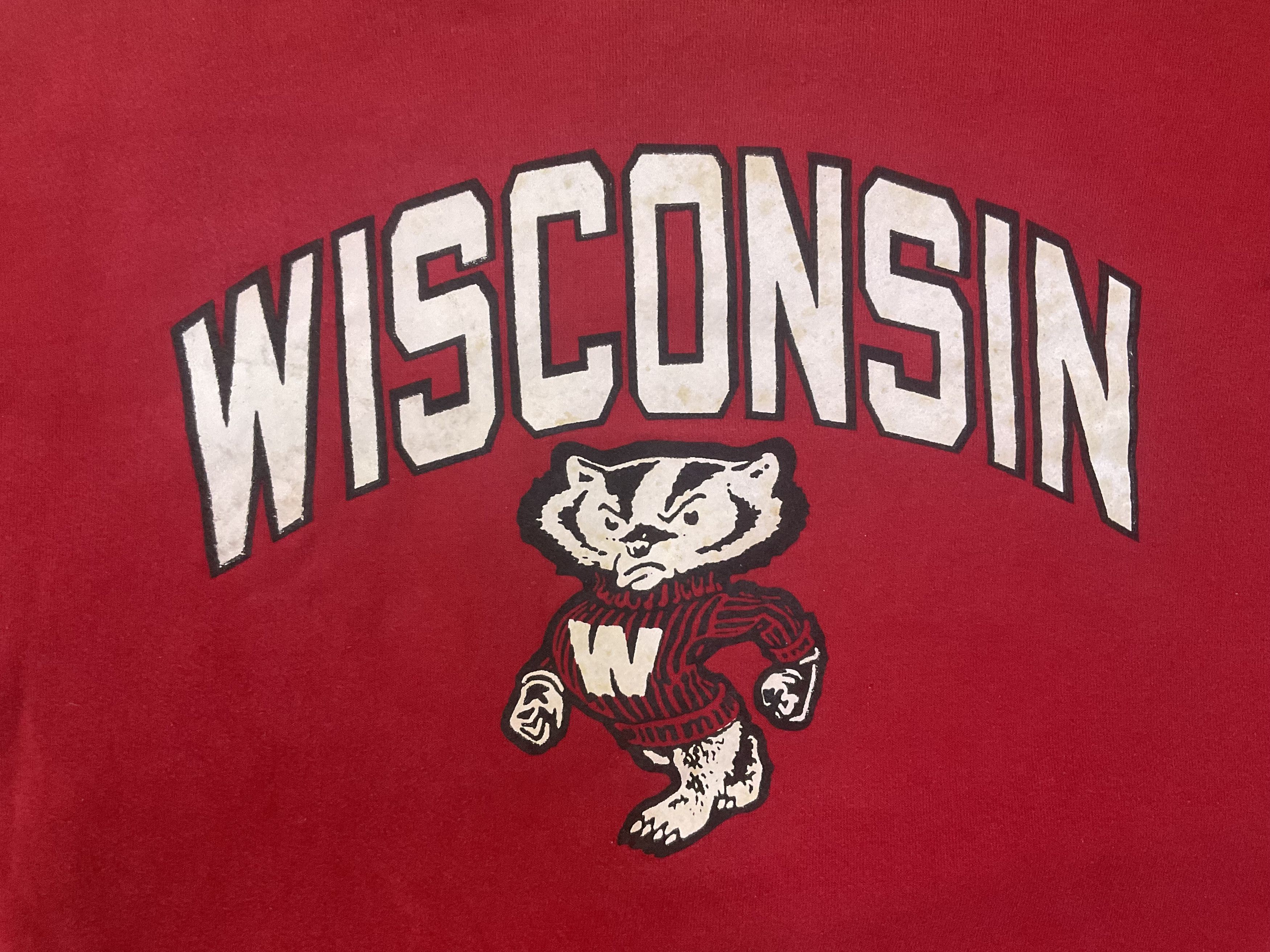 NCAA NCAA Wisconsin Badgers & NIU Huskies Two Sided Sweatshirt Size US L / EU 52-54 / 3 - 3 Thumbnail