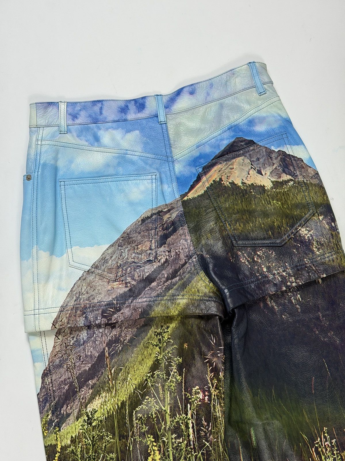 Balenciaga Balenciaga Spring 2018 3 Parts Leather Landscape Print Pants Size US 30 / EU 46 - 6 Thumbnail