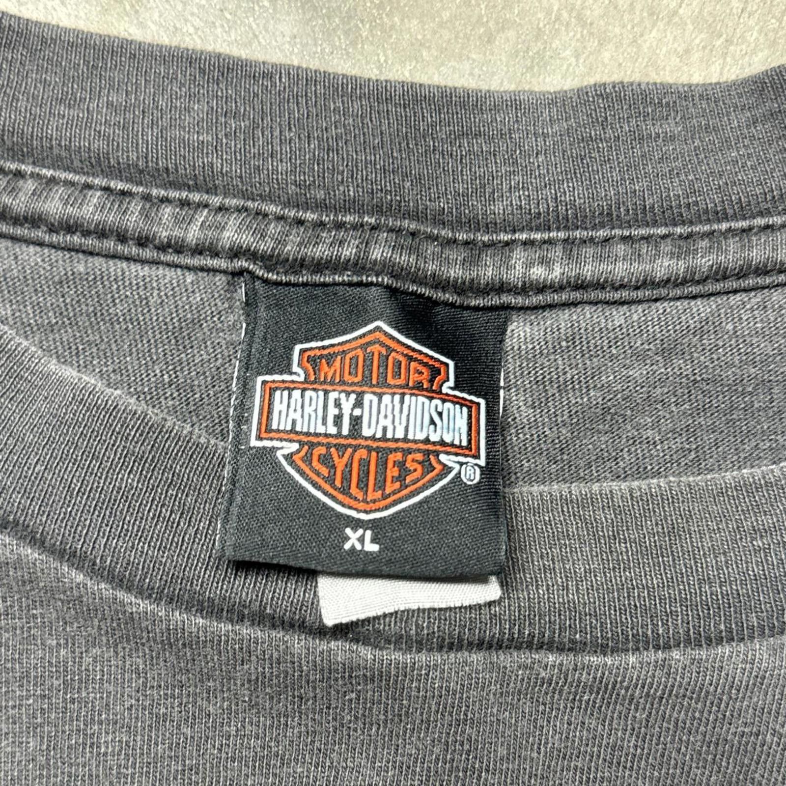 Harley Davidson Harley Davidson Motorcylce Faded 2000 Eagle & Snake T-Shirt Size US XL / EU 56 / 4 - 6 Thumbnail