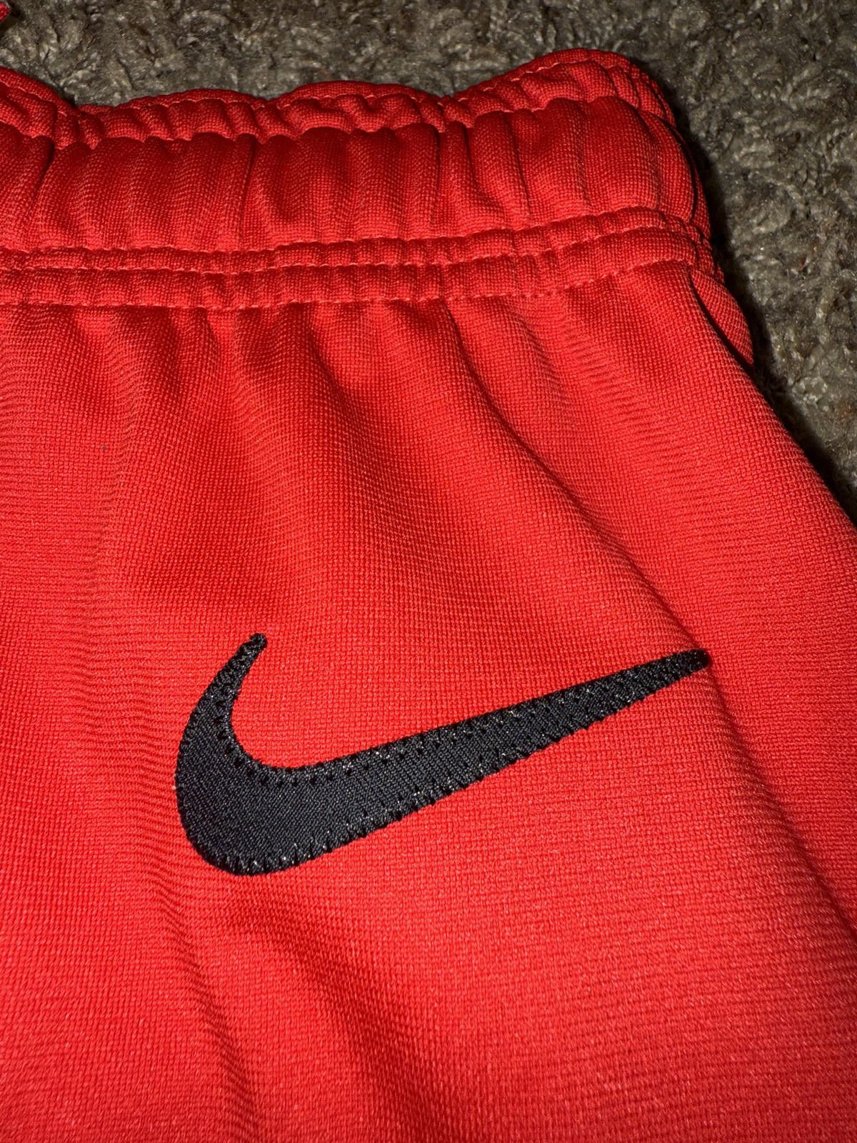 Nike Nike Men's NBA Toronto Raptor Dri-Fit ADV Team Issued Shorts Size US 34 / EU 50 - 2 Thumbnail