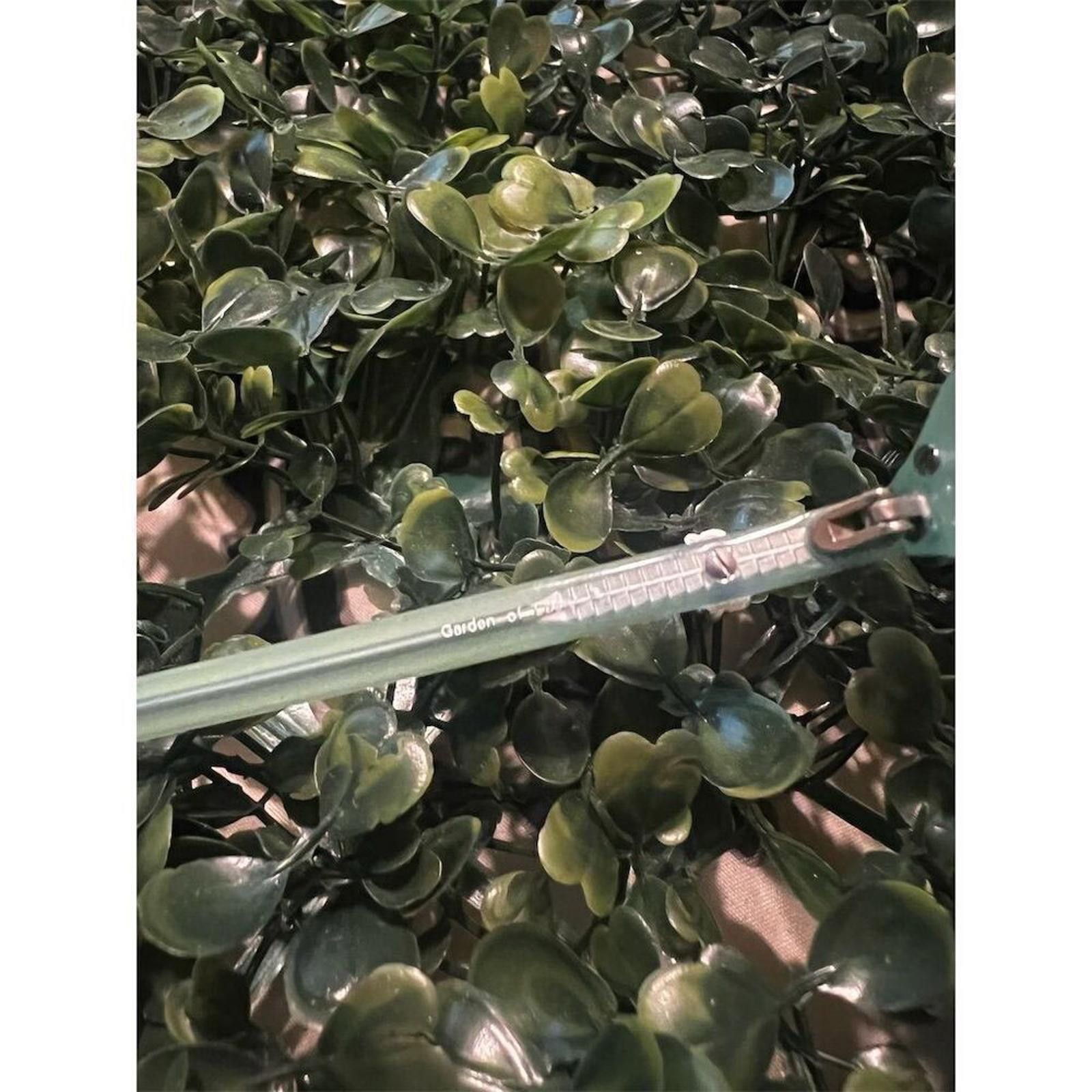 Brighton Brighton Orange Oval readers +1.0 Garden of Eden RARE! Size ONE SIZE - 4 Thumbnail