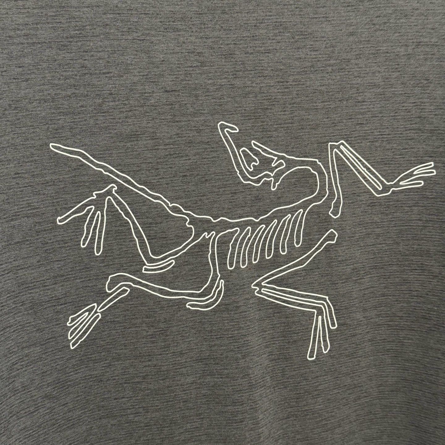 Arc'teryx Arcteryx Cormac Logo SS T-Shirt Size US M / EU 48-50 / 2 - 2 Thumbnail