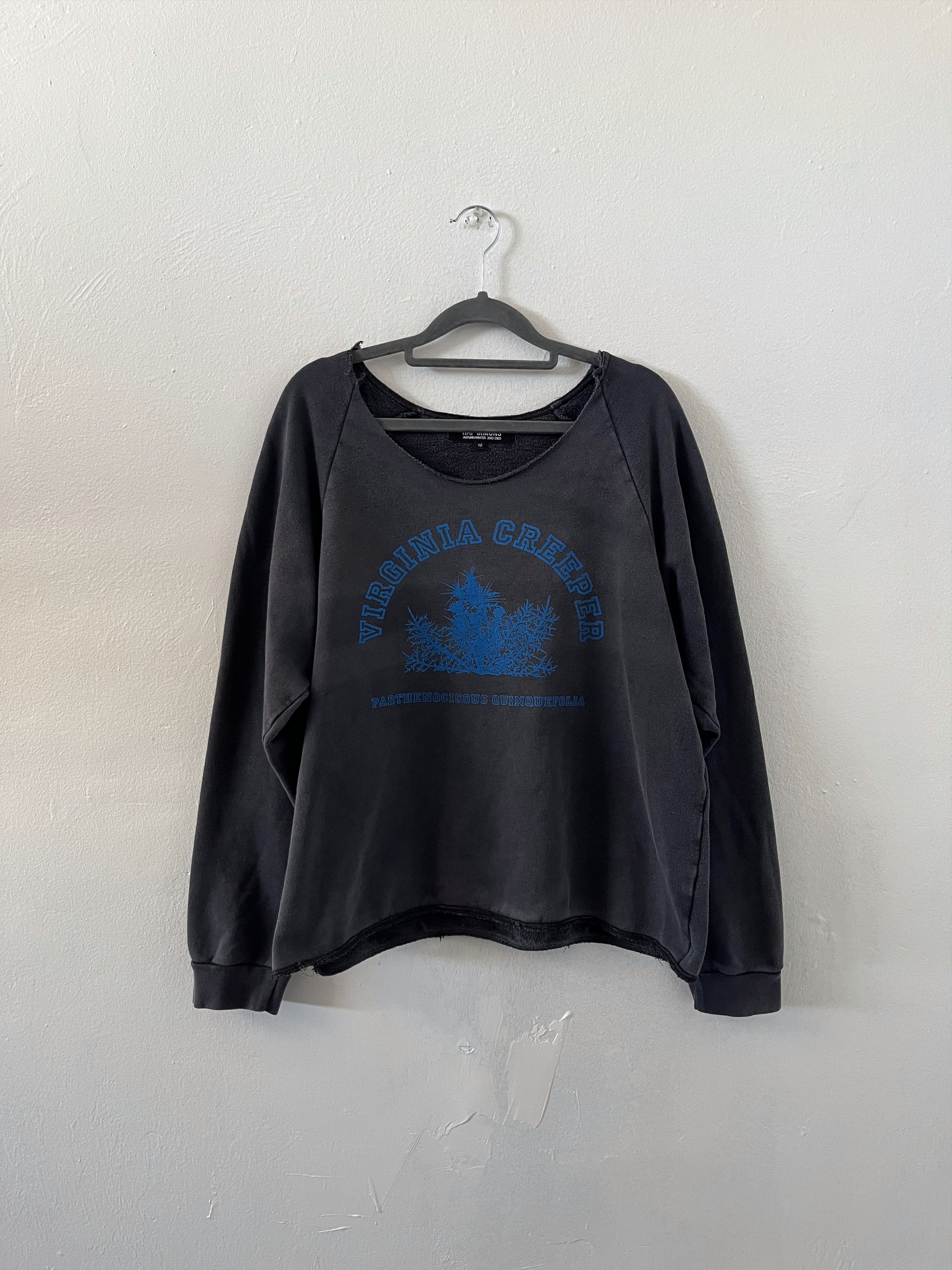 Raf Simons Raf Simons AW02 Virginia Creeper Blue Colligate Crewneck Size US M / EU 48-50 / 2 - 1 Thumbnail