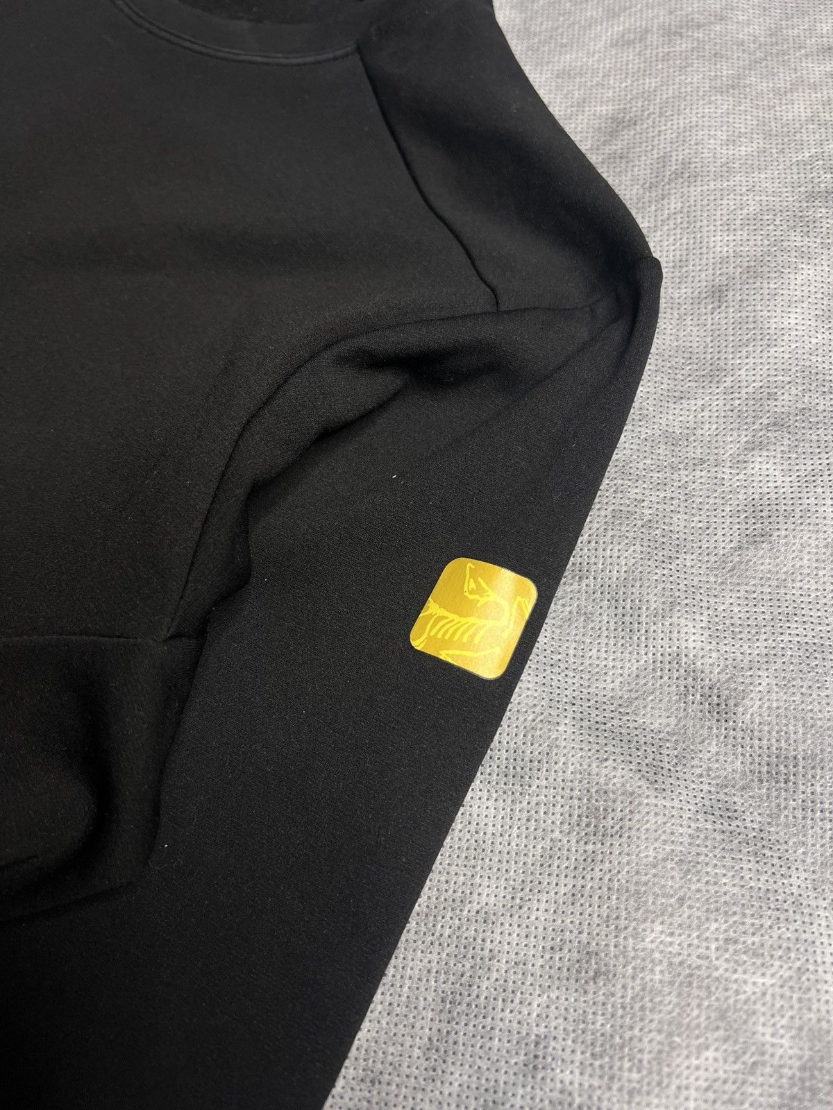 Arc'teryx Arcteryx Phase AR Long Sleeve T-Shirt Size L / US 10 / IT 46 - 4 Thumbnail