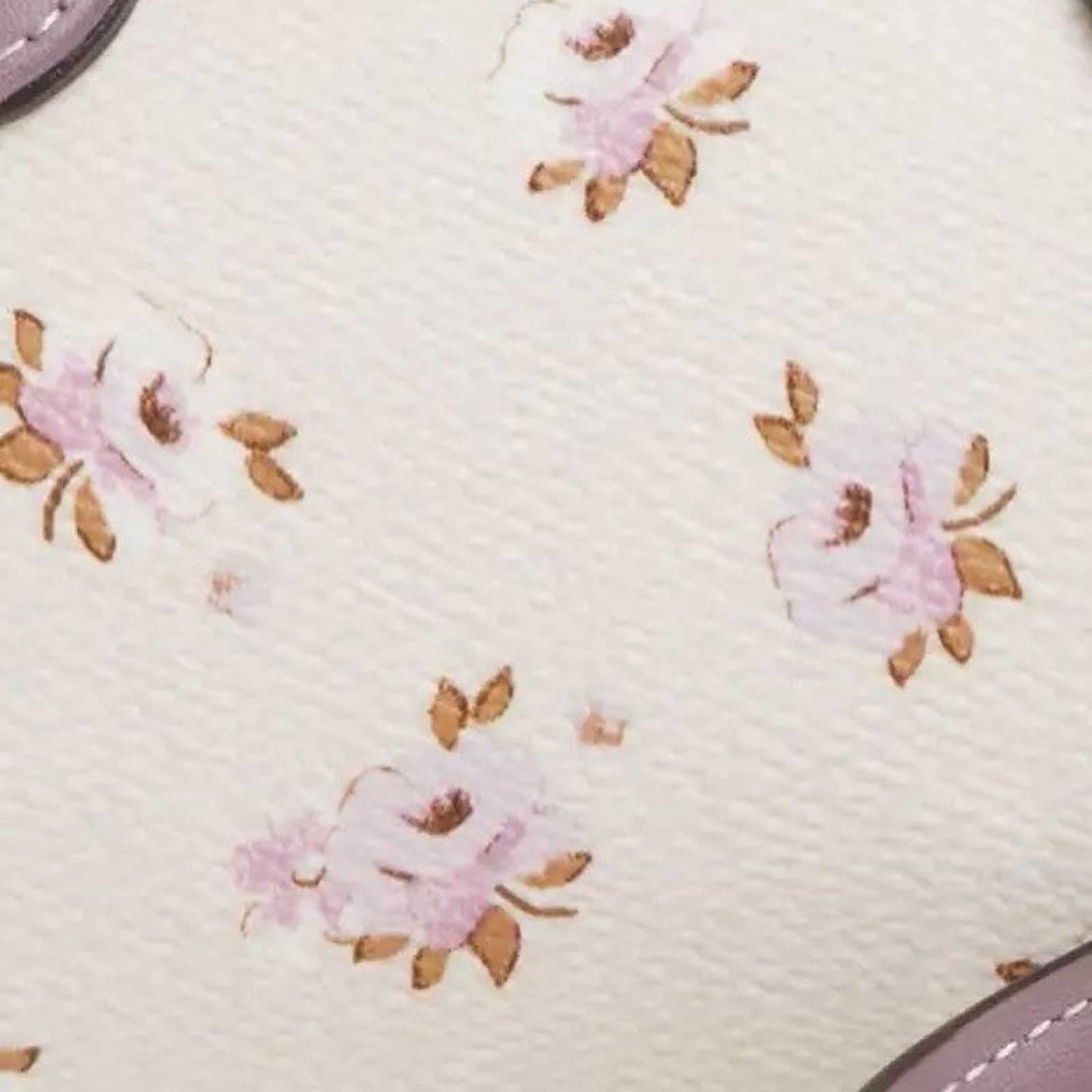 Coach NWT Coach Mini Rowan Crossbody Bag Floral Print CAL69 Chalk Size ONE SIZE - 13 Thumbnail