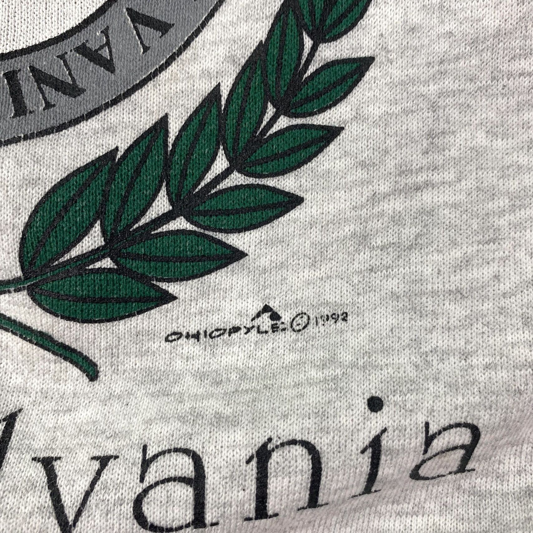 Hanes VINTAGE Hanes Sweatshirt Mens 2XL Gray Crewneck Graphic Print 1992 Charleroi USA Patriotic 90s Shown as is Size US XXL / EU 58 / 5 - 3 Thumbnail