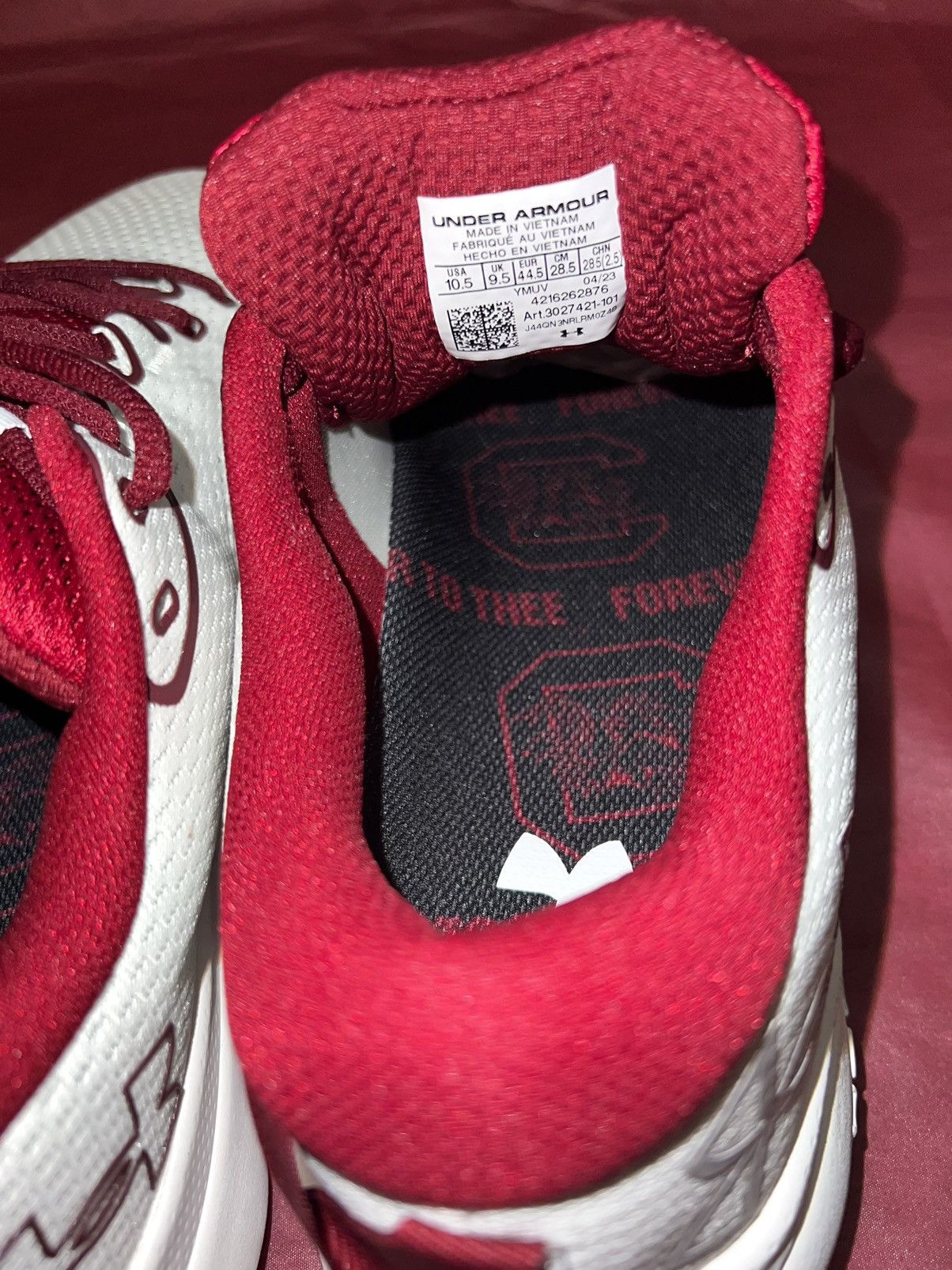 NCAA × Under Armour Under Armour Gamecocks Infinite 5 Size US 10.5 / EU 43-44 - 14 Thumbnail