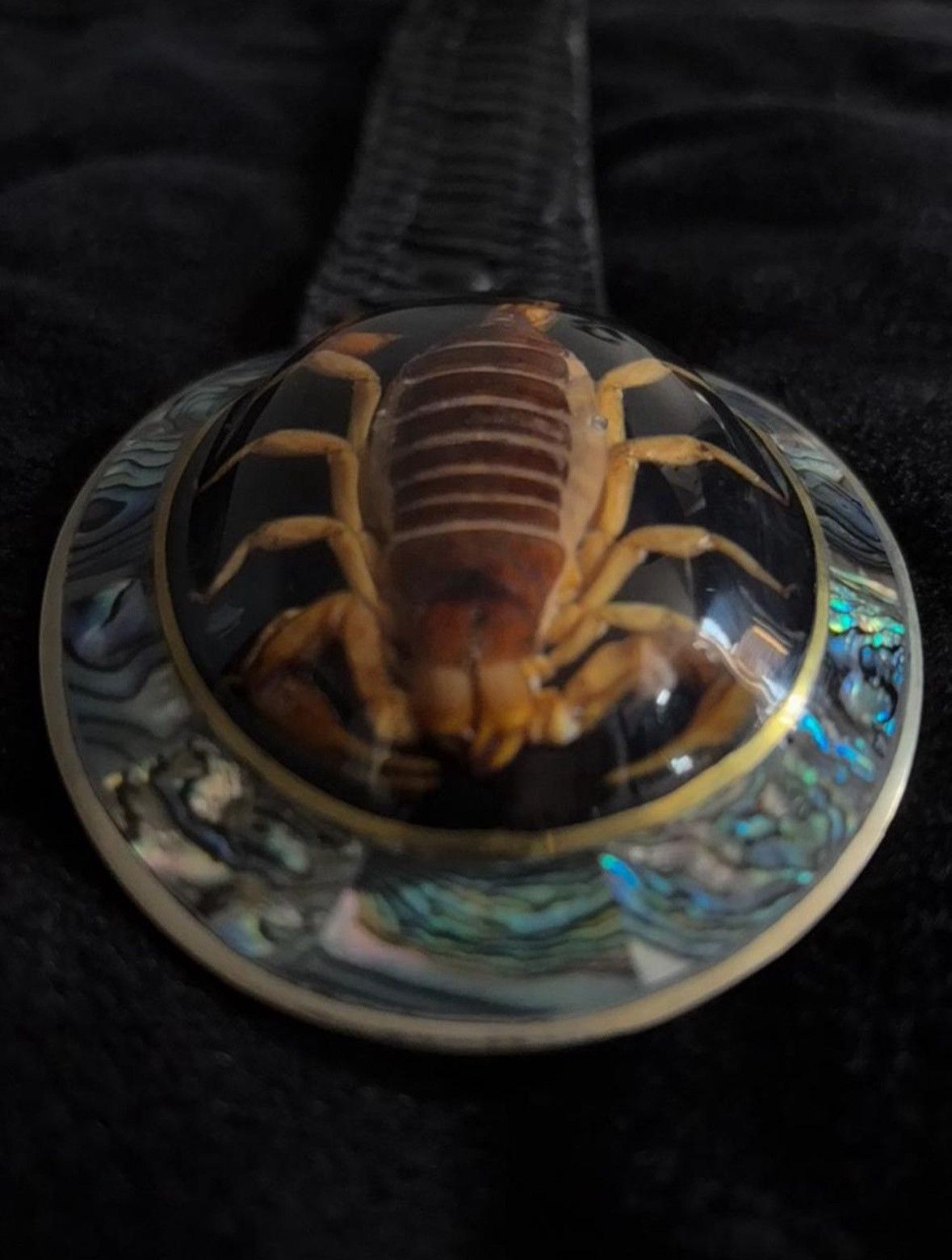 scorpion belt buckle lgb Ifsixwasnine