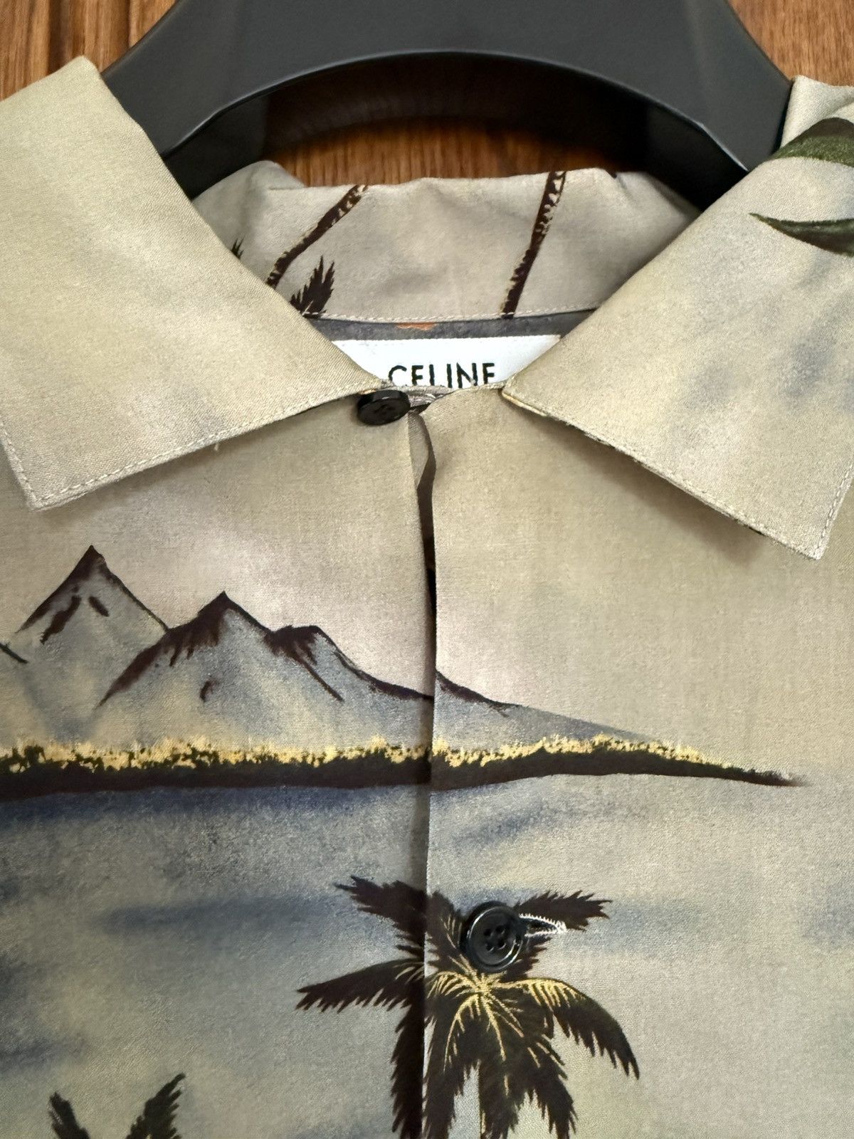 Celine $1.1k SS23 Celine volcano Hawaiian palm tree camp shirt Hedi Size US M / EU 48-50 / 2 - 15 Thumbnail