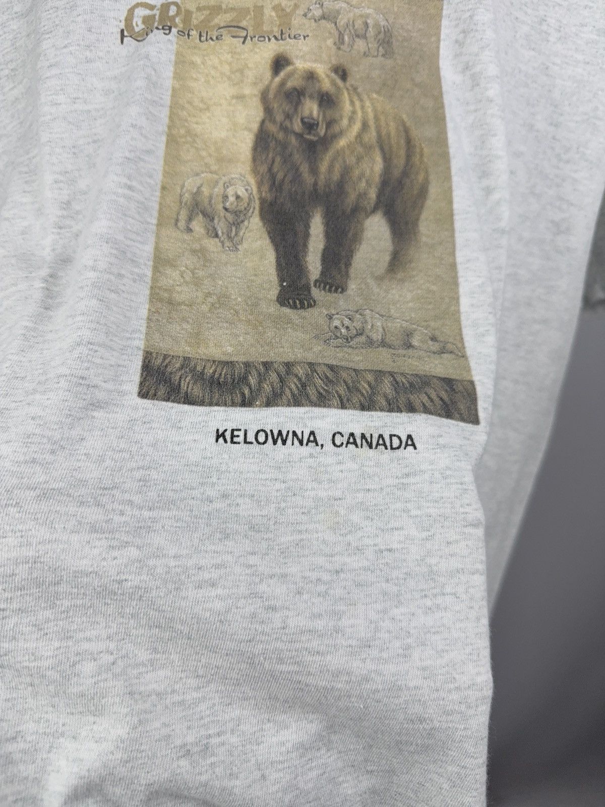 Vintage Vintage 90s Grizzly Bear Kelowna Canada Wildlife T-Shirt Size US L / EU 52-54 / 3 - 4 Thumbnail