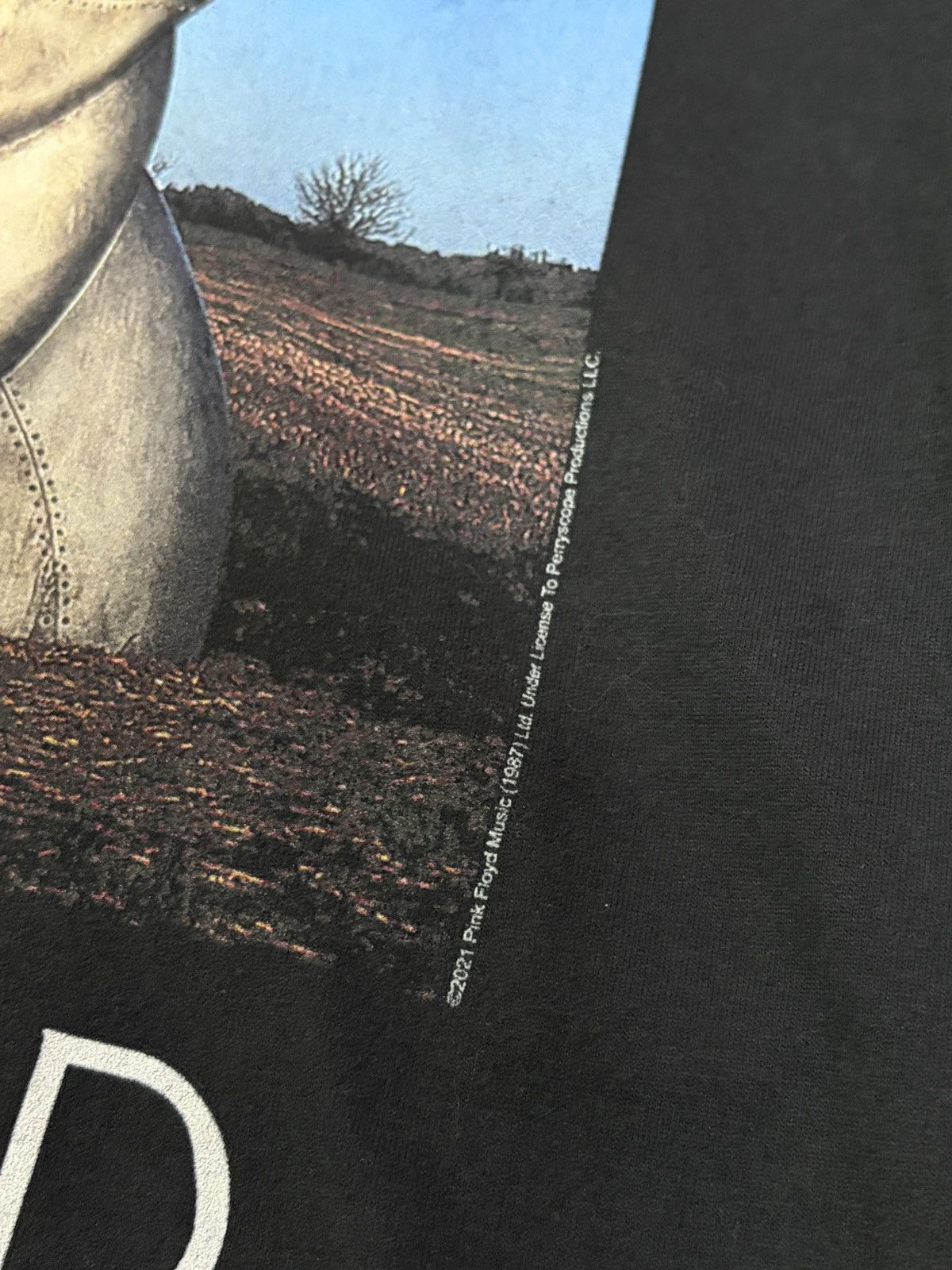 Band Tees Pink Floyd The Division Bell Graphic Tee L 2023 Size US L / EU 52-54 / 3 - 6 Thumbnail