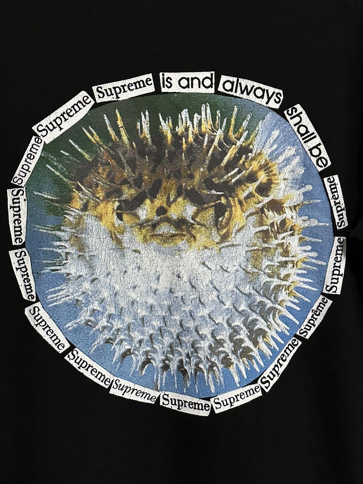Supreme Supreme Blowfish Tee Size US M / EU 48-50 / 2 - 2 Thumbnail