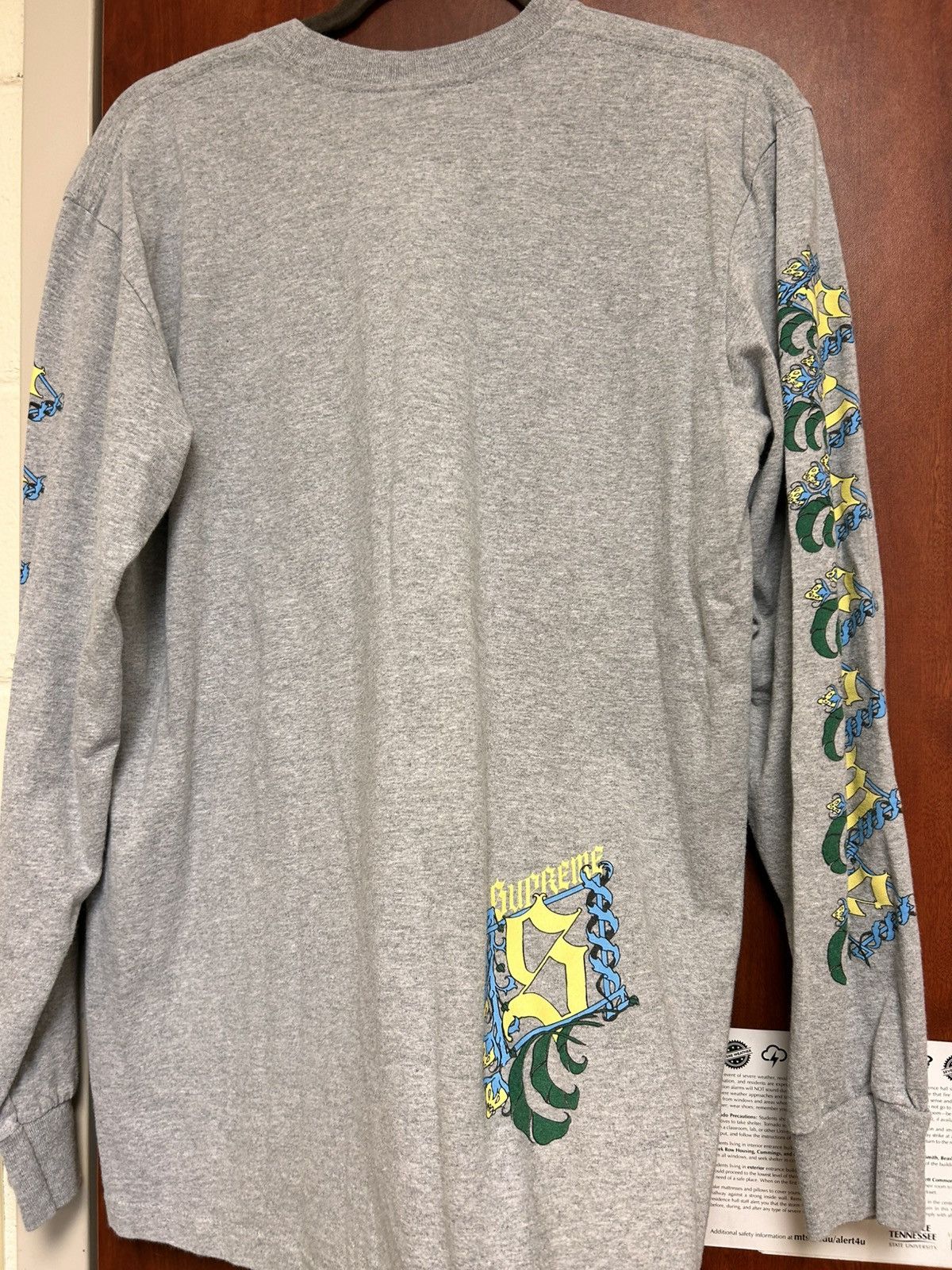 Supreme Supreme Fall/Winter 2024 Strawberry Longsleeve Size US M / EU 48-50 / 2 - 5 Thumbnail
