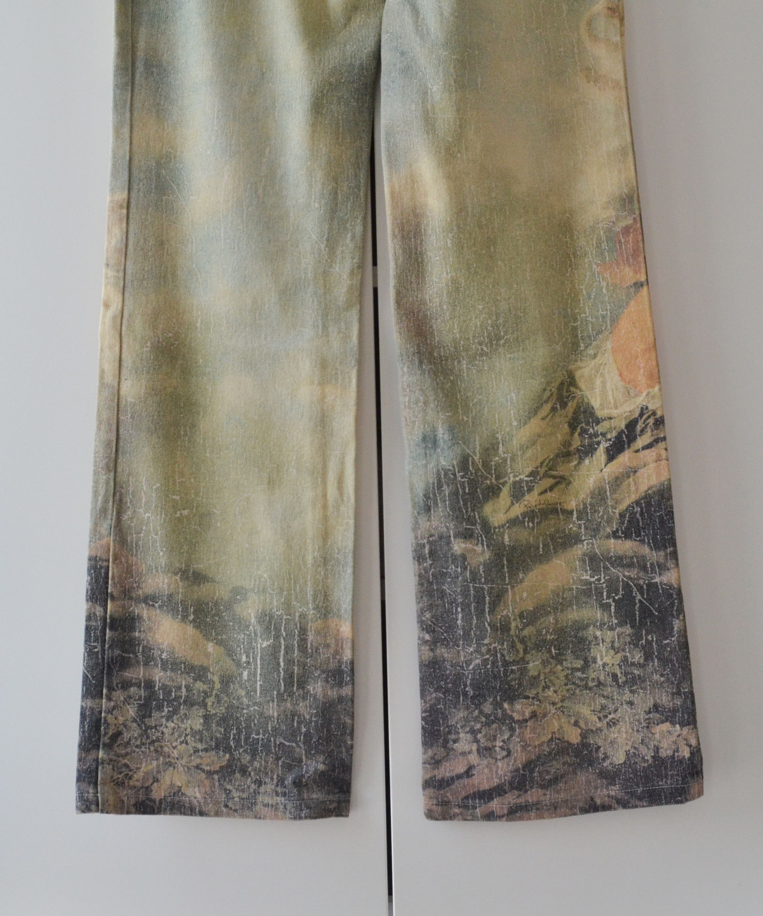 Roberto Cavalli Roberto Cavalli Jeans Pants Wild Leda Print Vintage Denim Size US 30 / EU 46 - 5 Thumbnail