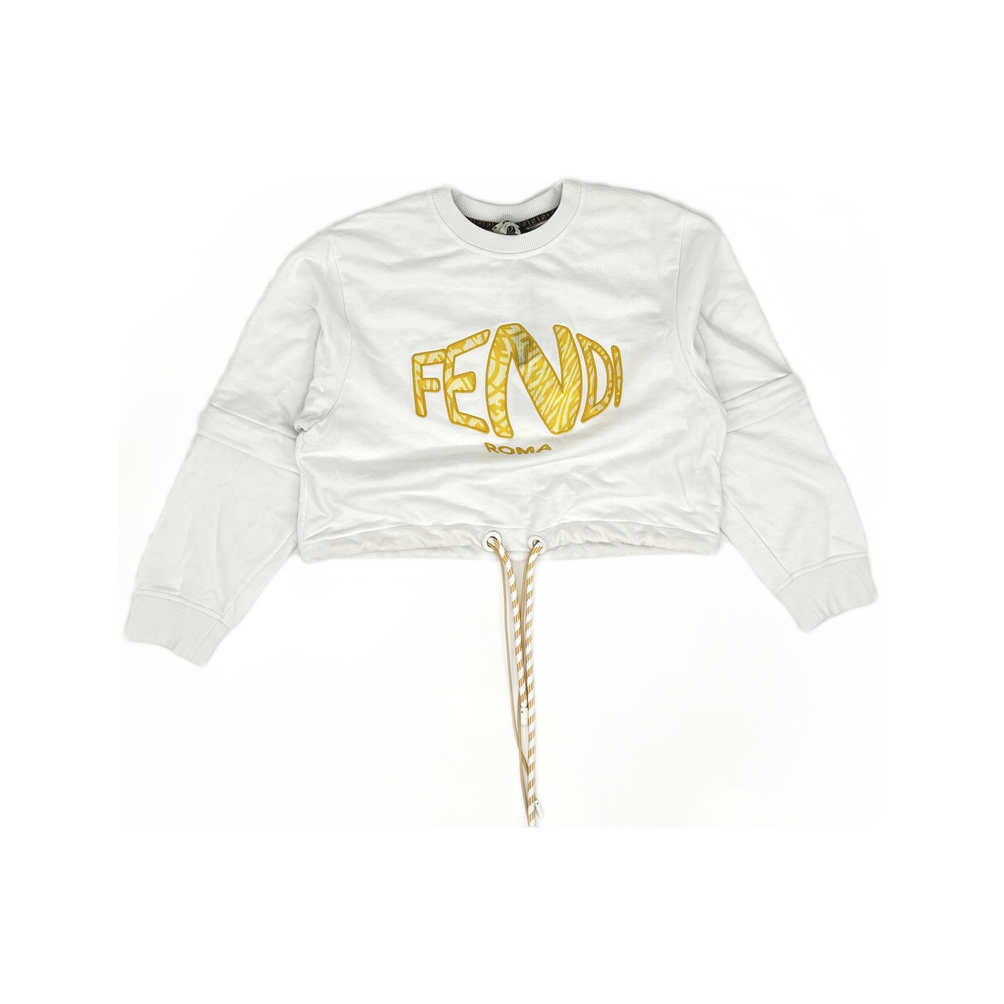 Fendi Fendi Logo Sweatshirt Size XS Size XS / US 0-2 / IT 36-38 - 1 Thumbnail