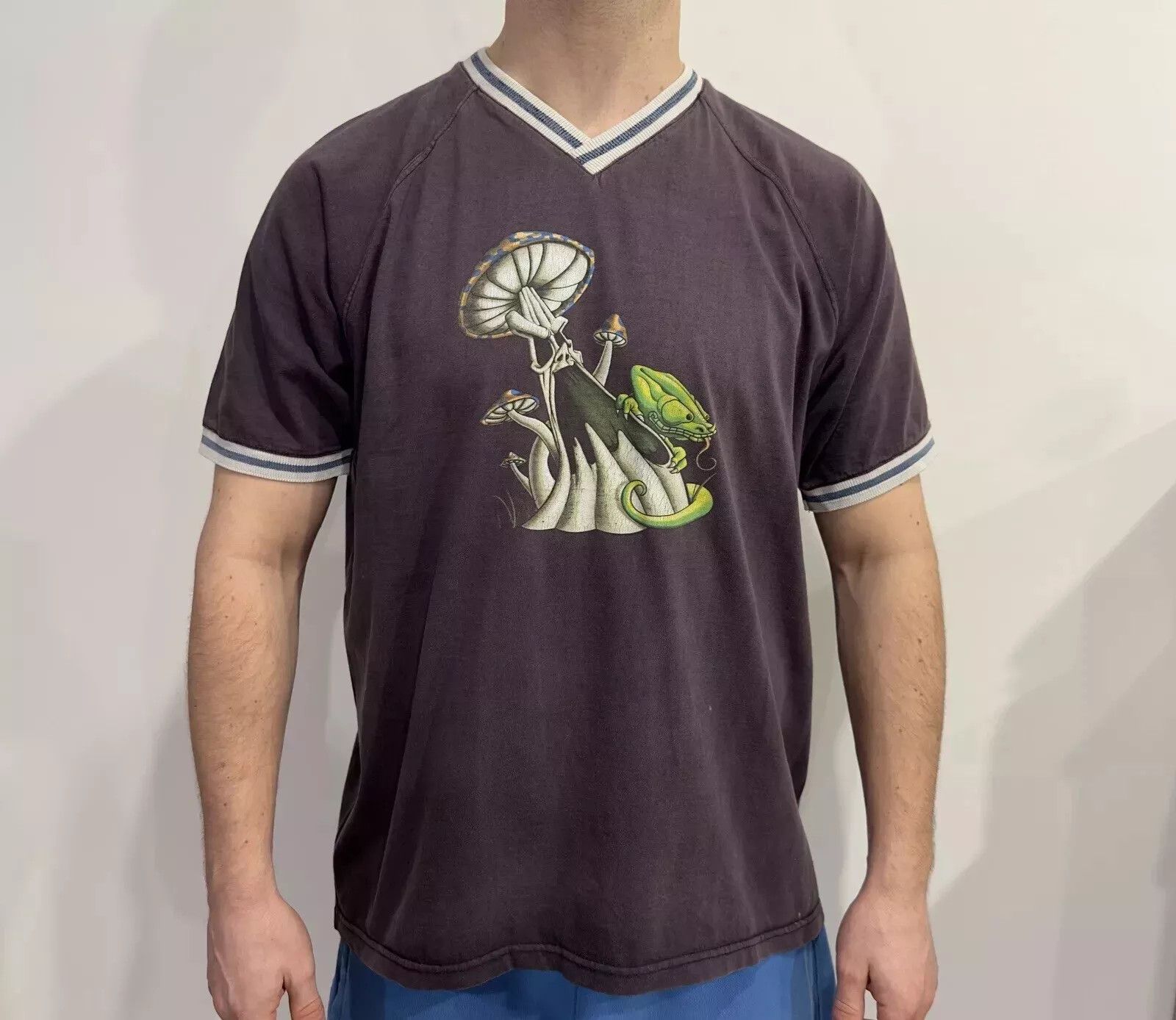 Vintage VINTAGE 2000s Y2K SHROOMS HEARTLAND SHIRT FADED SKATEBOARD Size US M / EU 48-50 / 2 - 3 Thumbnail