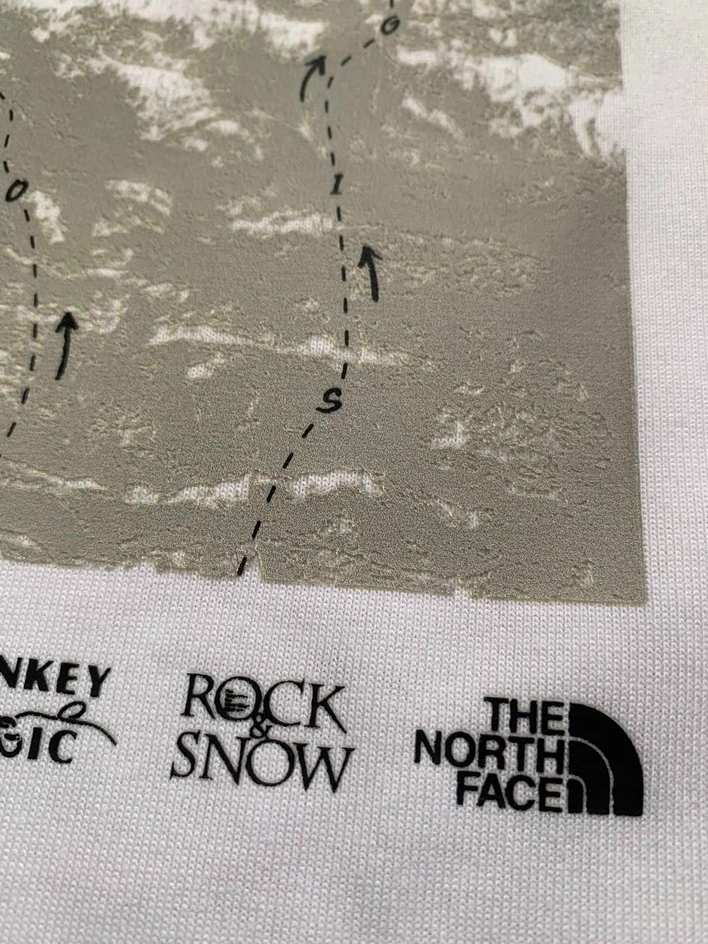 The North Face THE NORTH FACE Stainless Steel Monkey Magic T-shirt Ｑ22 Size US M / EU 48-50 / 2 - 5 Thumbnail