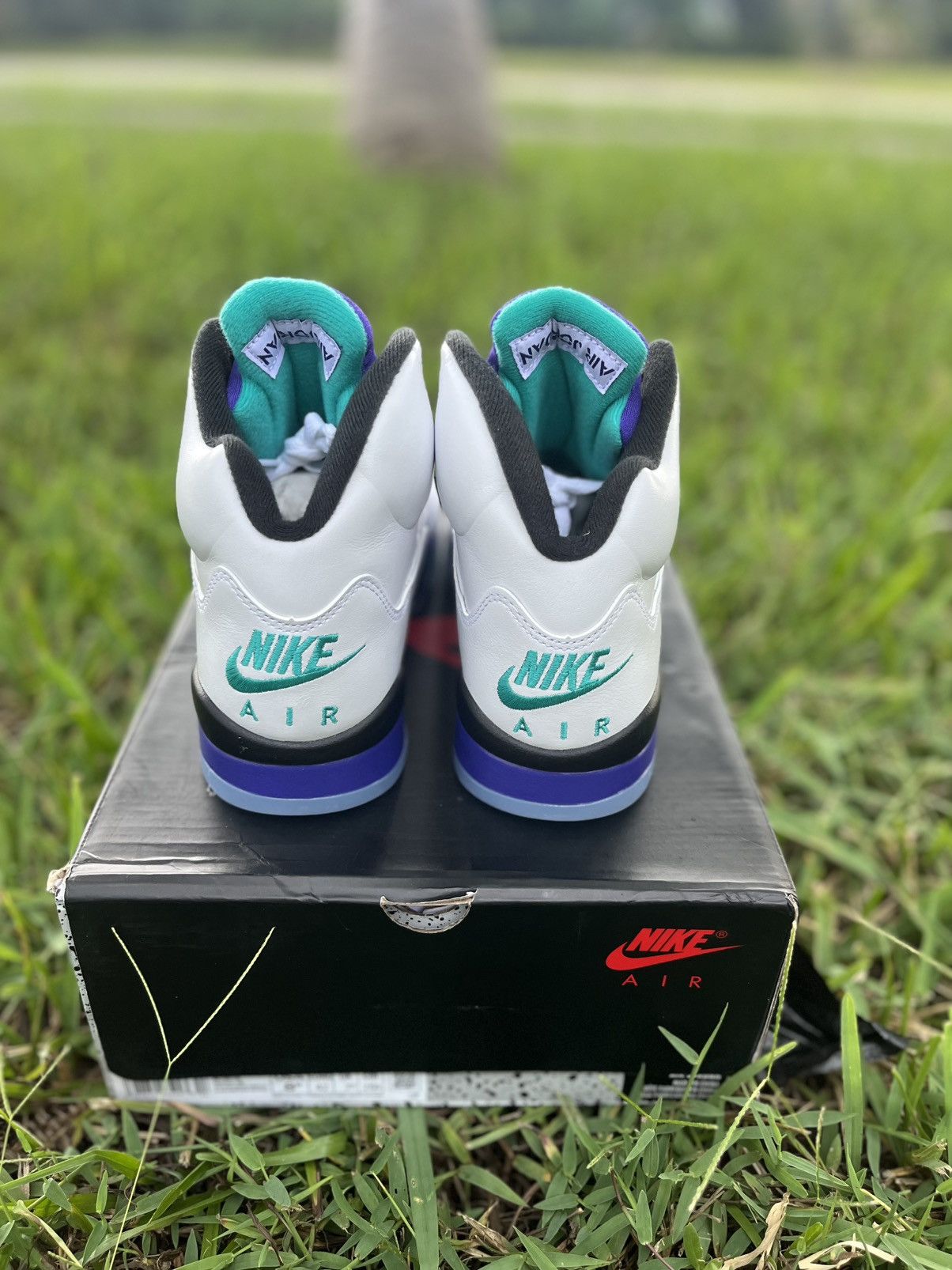 Jordan Brand ⭐️ Air Jordan 5 “Grape” Mens Size 8.5 ⭐️ Size US 8.5 / EU 41-42 - 3 Thumbnail
