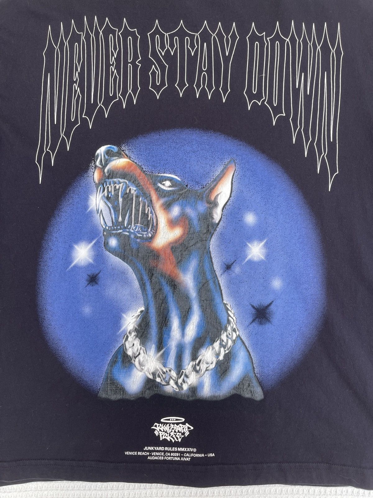 Billy Hill × Warren Lotas Rare🔥Junkyard Rules MMXXIV Never Stay Down Tee Size US XL / EU 56 / 4 - 11 Thumbnail