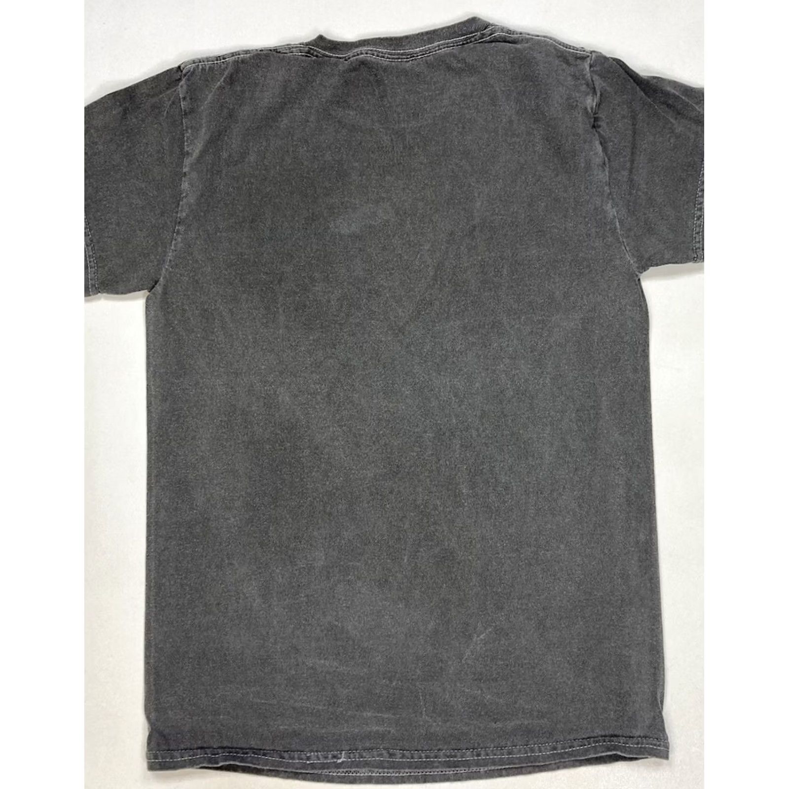 Ripple Junction Aaliyah Princess Of R&B Graphic T-shirt Women Small Gray Short Sleeve Music Shirt Size S / US 4 / IT 40 - 4 Thumbnail