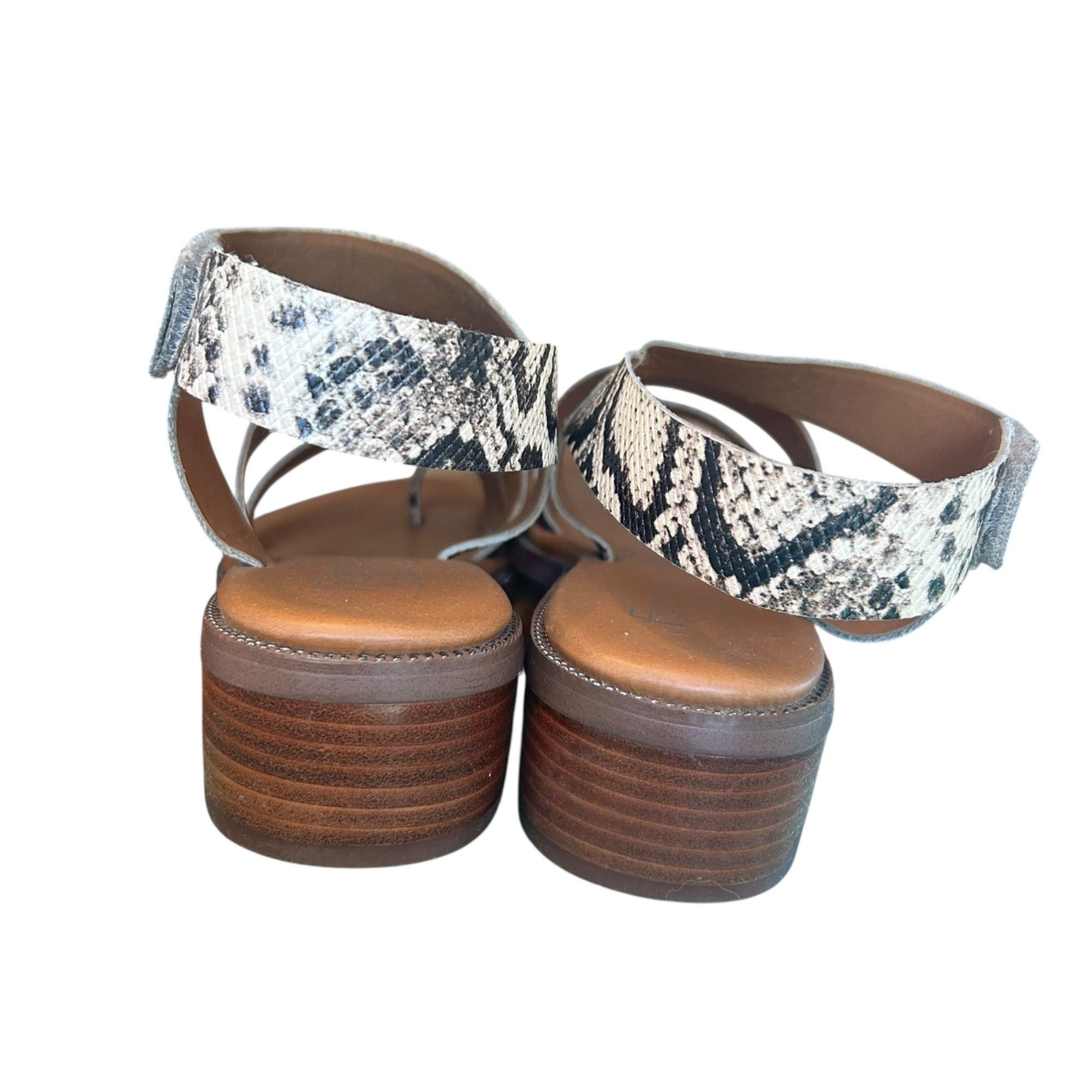 Franco Sarto Franco Sarto Snakeskin Laritza Strappy Statement Sandals 7 Size US 7 / IT 37 - 5 Thumbnail