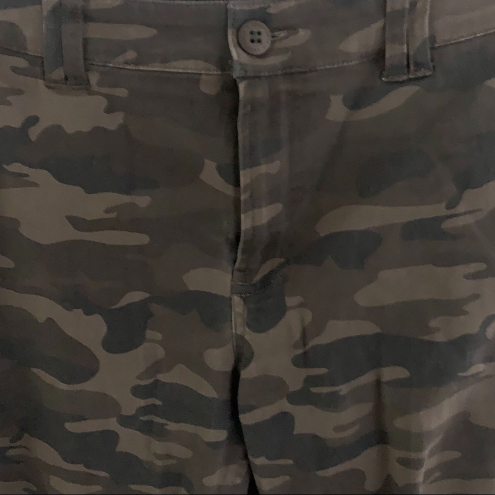 Sanctuary Sanctuary Camo Pants, Size 30 Size 30" / US 8 / IT 44 - 3 Thumbnail