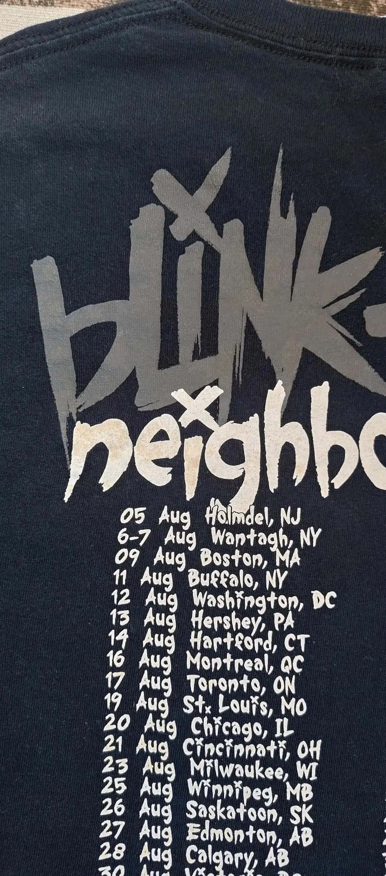 Band Tees Band Tees x Vintage Blink 182 Size US S / EU 44-46 / 1 - 4 Thumbnail