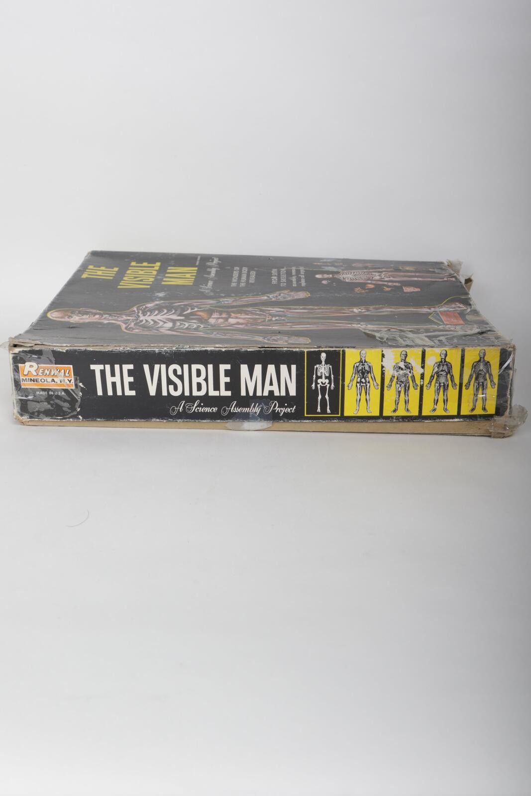 Urban Renewal 60's Renwal The Invisible Man Anatomy Model Kit Size ONE SIZE - 3 Thumbnail