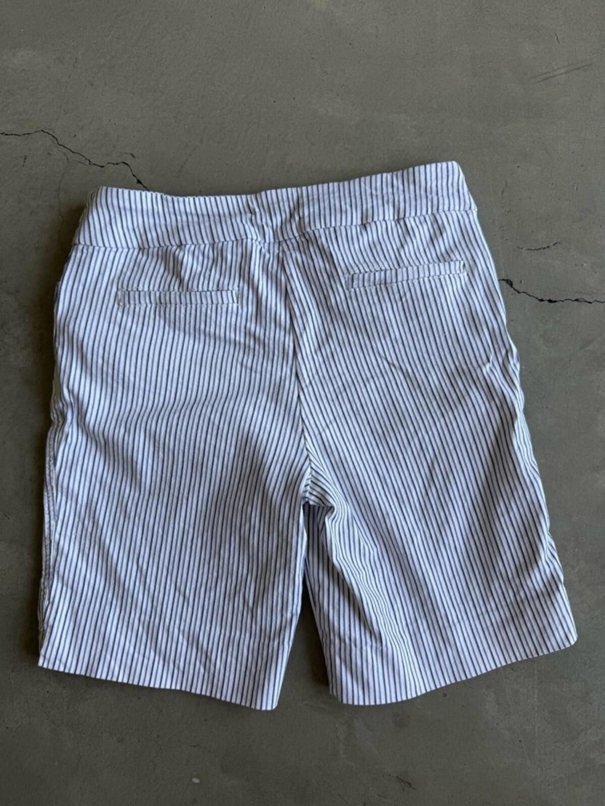 Other Hilary Radley / Stripe Bermuda Shorts / Blue White Striped Size 32" / US 10 / IT 46 - 8 Thumbnail