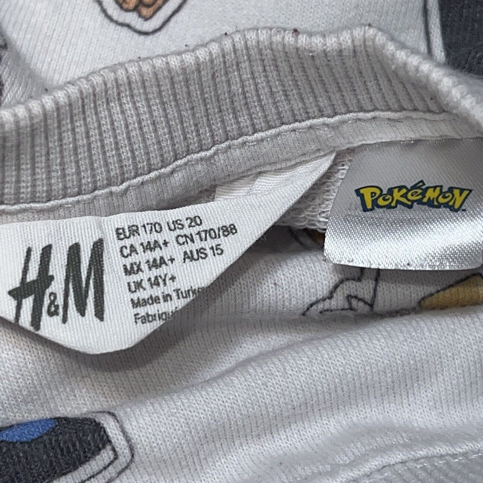 H&M H&M x Pokemon Crew Neck Men’s Size Large Youth 20 Size US L / EU 52-54 / 3 - 5 Thumbnail