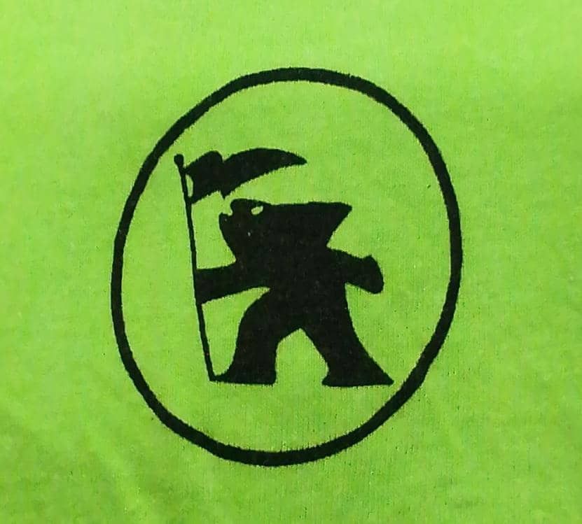 Vintage GOTCHA California Surf Style Tshirt green single stich Size US M / EU 48-50 / 2 - 6 Thumbnail