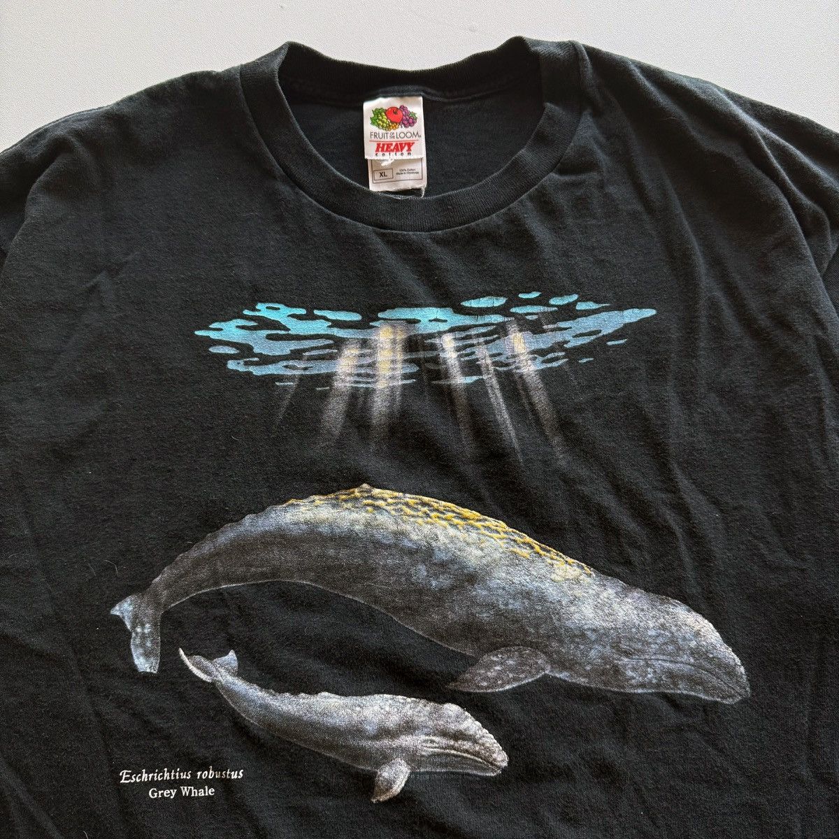 Vintage 2001 Vintage Y2K Grey Whale Nature Tee Size US XL / EU 56 / 4 - 5 Thumbnail