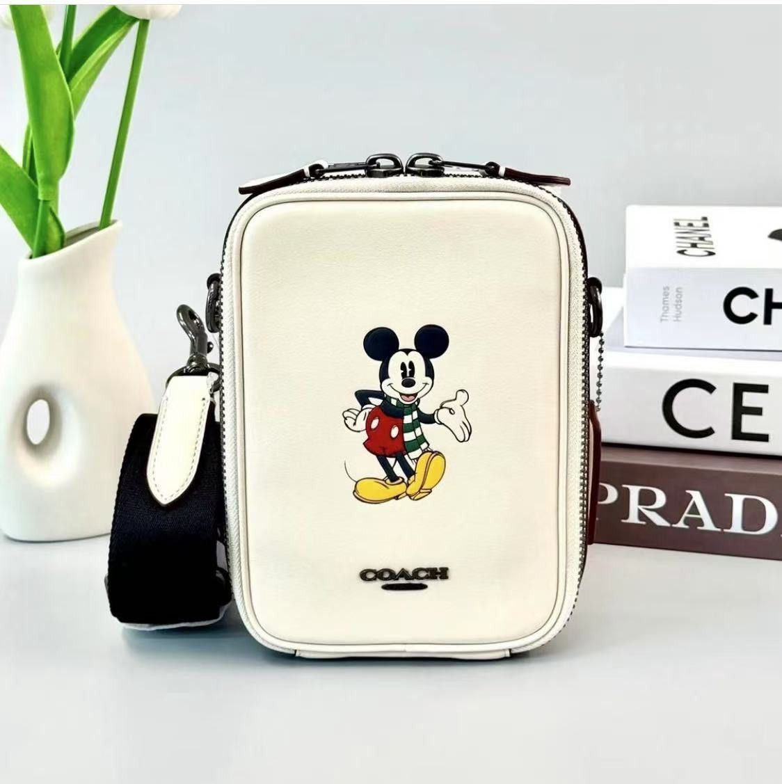 Coach Disney X Coach Stanton Crossbody With Winter Motif CM028 Size ONE SIZE - 1 Thumbnail