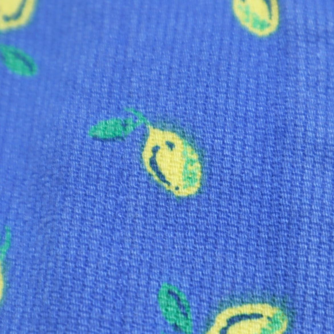 Vintage VINTAGE Eagle's Eye Shorts Chino Women Blue 6 Cotton Corduroy High Rise Lemon Print 7in Inseam Size 28" / US 6 / IT 42 - 6 Thumbnail