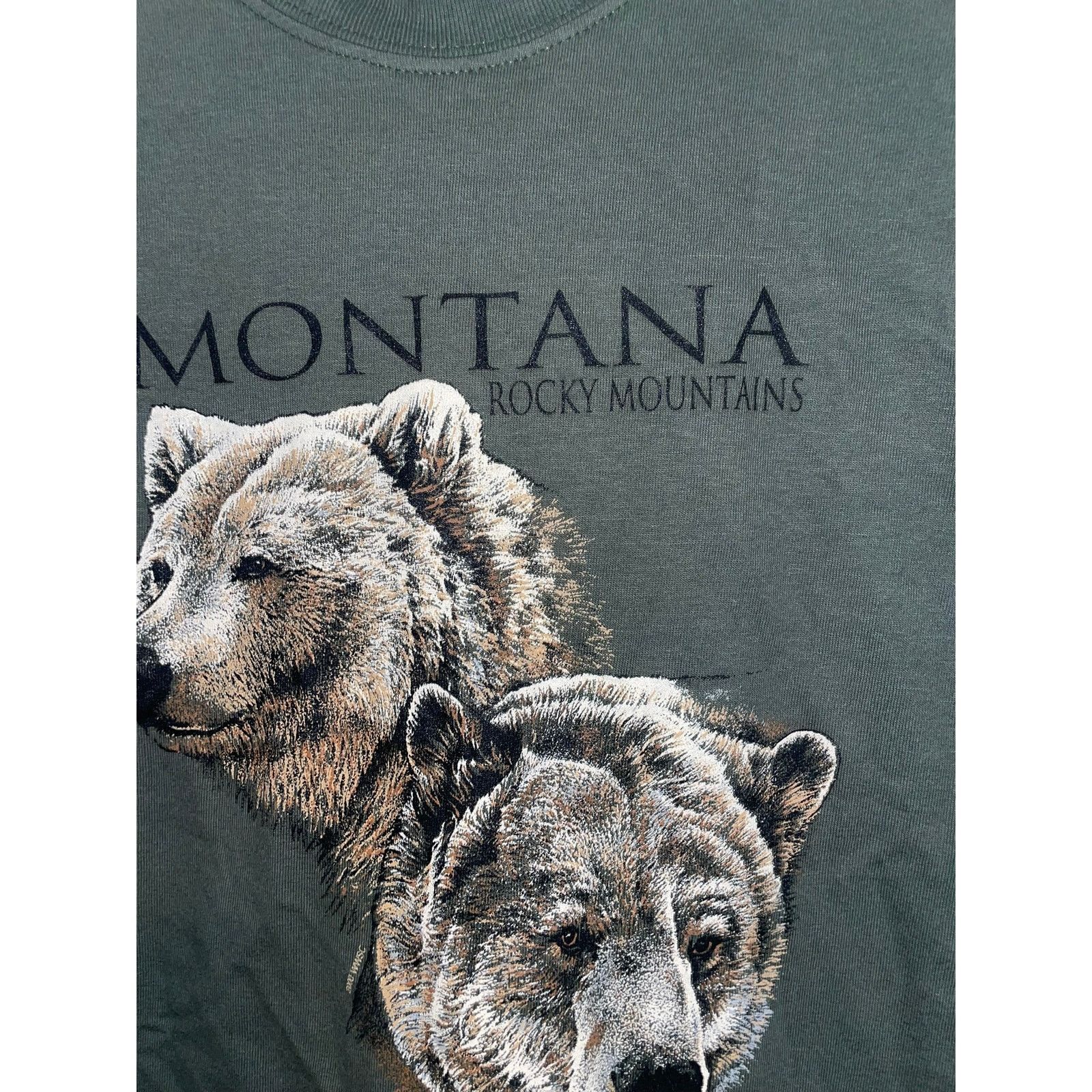Anvil Vintage Grizzly Bear Shirt Montana Rocky Mountains Tee 90s M Size US M / EU 48-50 / 2 - 4 Thumbnail