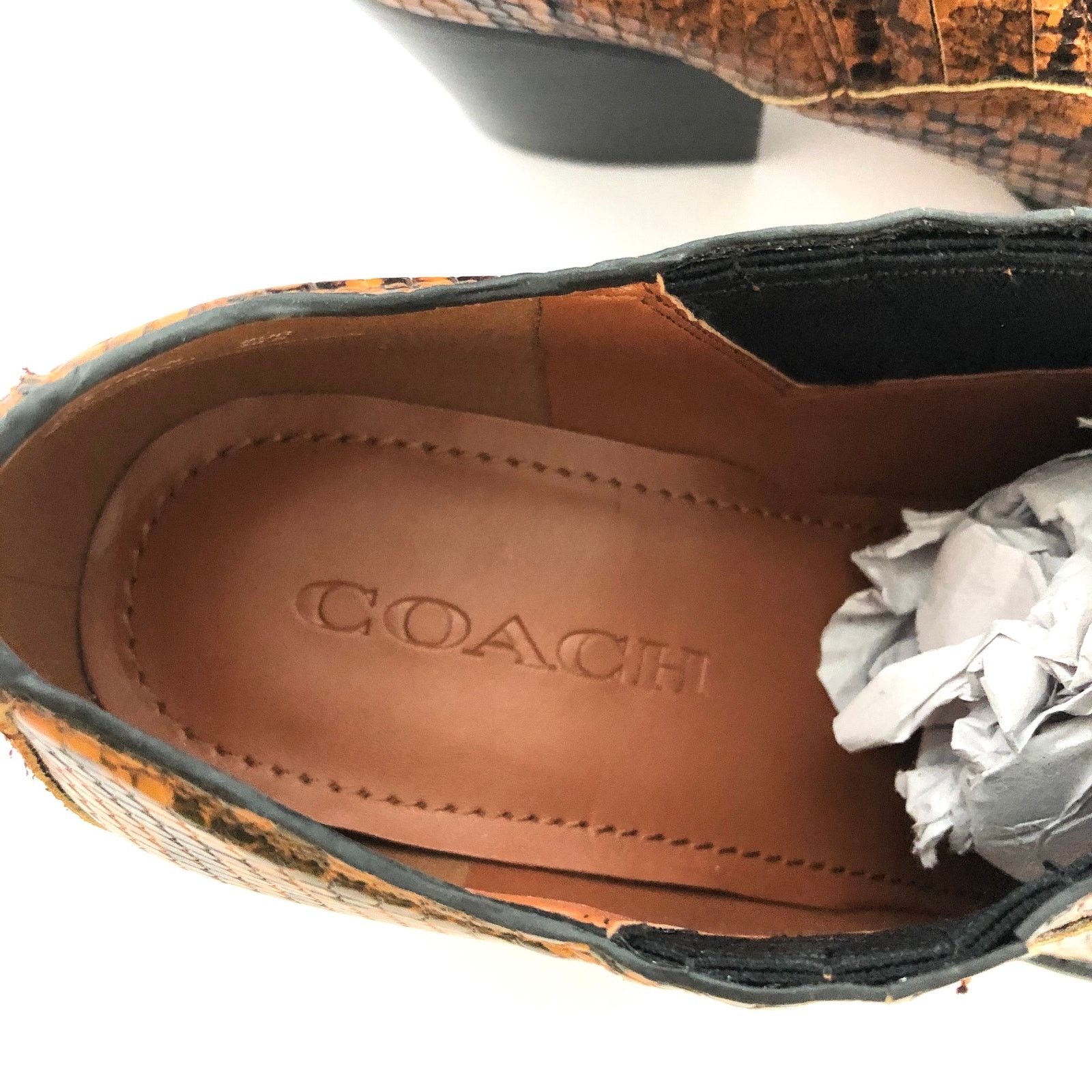 Coach Coach Perri Snake Print Ankle Bootie Carmel Western FG4194 Size US 8 / EU 41 - 4 Thumbnail