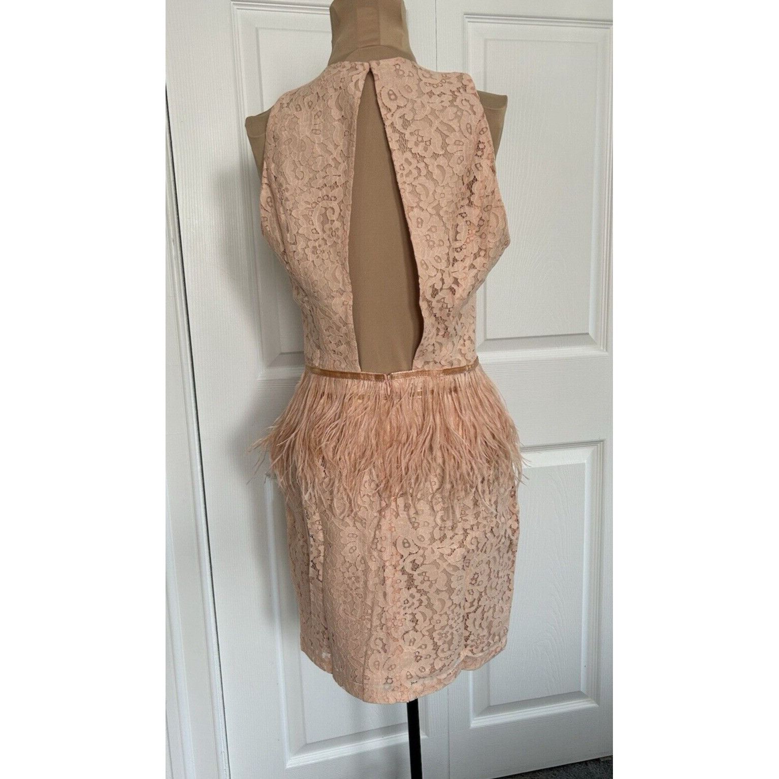 Other ENDLESS ROSE Sleeveless Lace Sheath Open Back Feather Waist Size S / US 4 / IT 40 - 3 Thumbnail