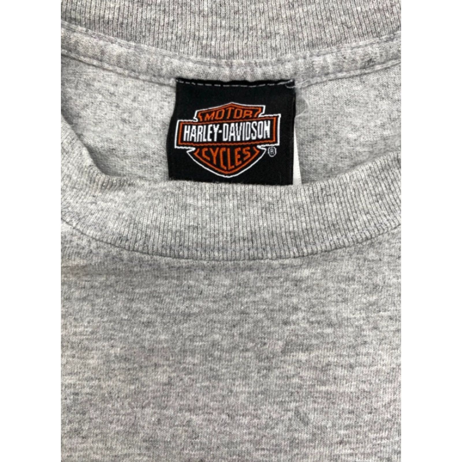 Harley Davidson VINTAGE Harley-Davidson T-Shirt L Mens Gray Short Sleeve Crew Neck Logo 1903-2003 The Ride Home Back 4545 Size US L / EU 52-54 / 3 - 3 Thumbnail