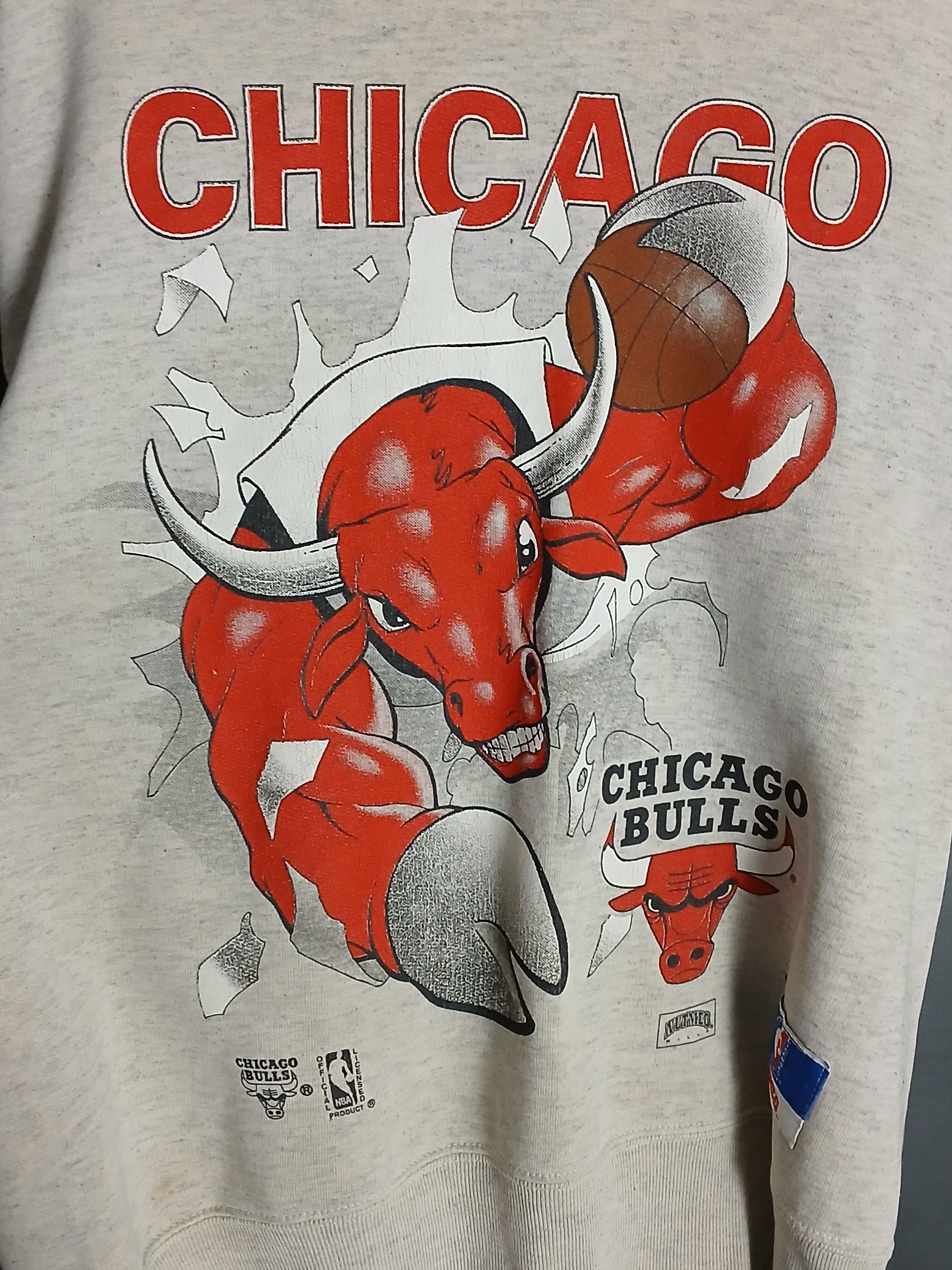 NBA Vintage Nutmeg NBA Chicago Bulls Basketball Sweatshirt Size US M / EU 48-50 / 2 - 3 Thumbnail