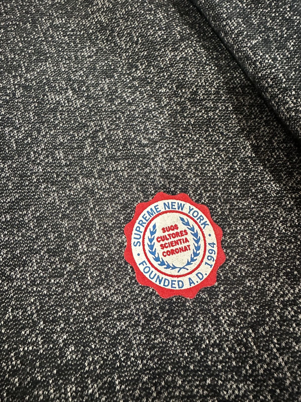 Supreme Supreme 2009 Collegiate Veritas Crewneck Size US M / EU 48-50 / 2 - 3 Thumbnail