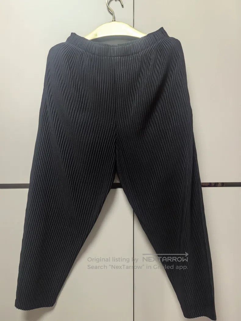 Issey Miyake Pleated Pants