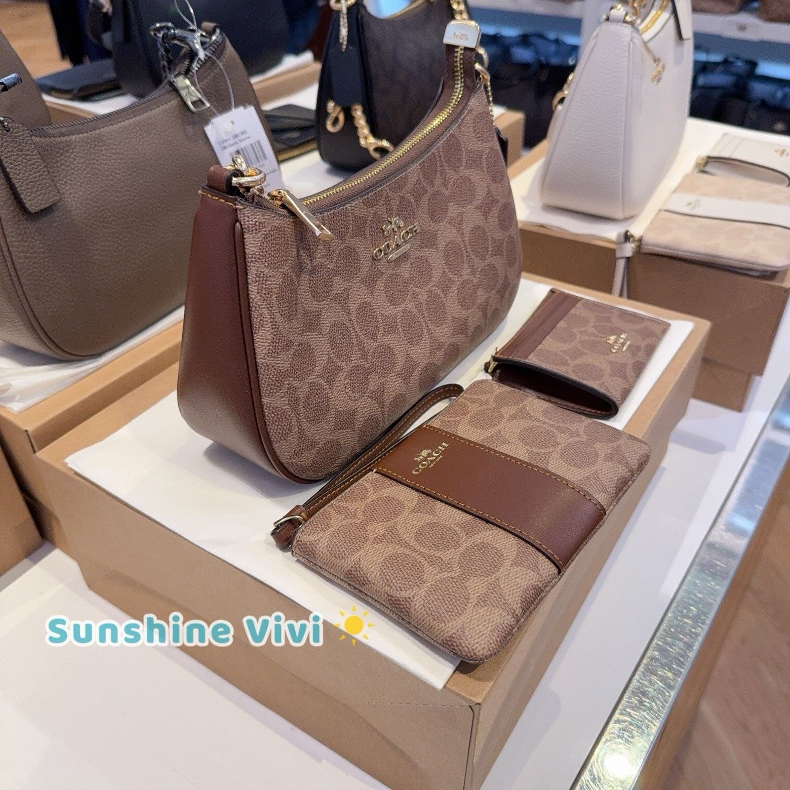 Coach NWT Bundle Coach Teri CV933 & CW854 Wristlet & CW870 ID Case Size ONE SIZE - 3 Thumbnail