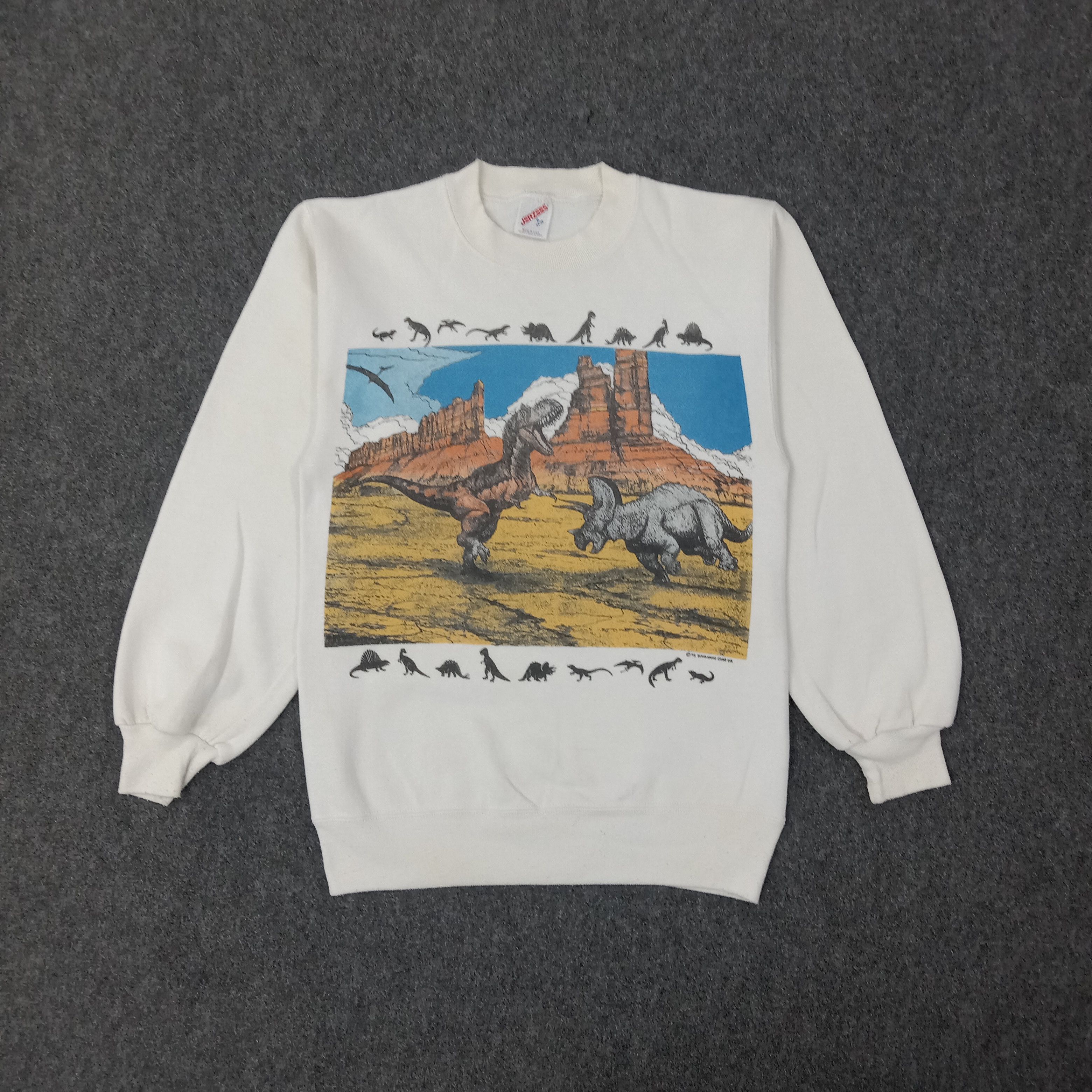 90s Suwannee case CQ Art Dinosaur Sweatshirt C262N1