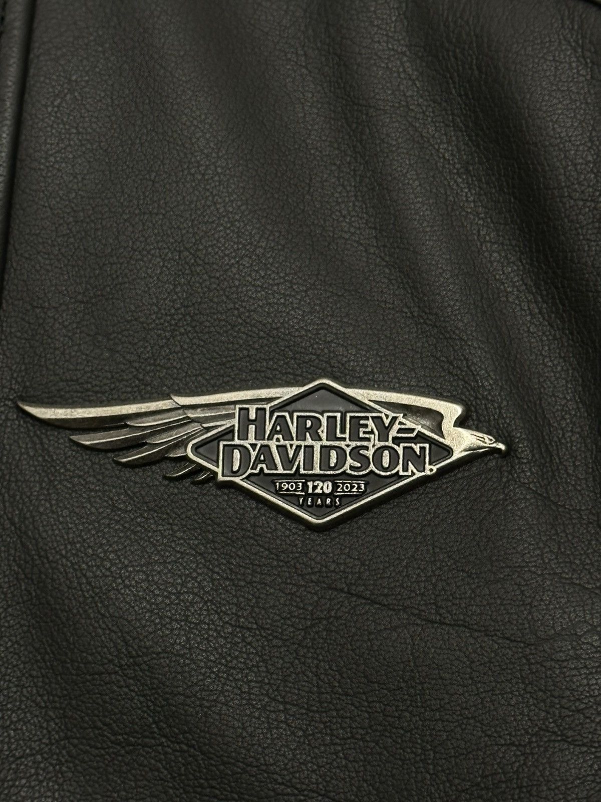 Harley Davidson Harley Davidson 120th Anniversary Revelry Leather Jacket XL Size US XL / EU 56 / 4 - 4 Thumbnail