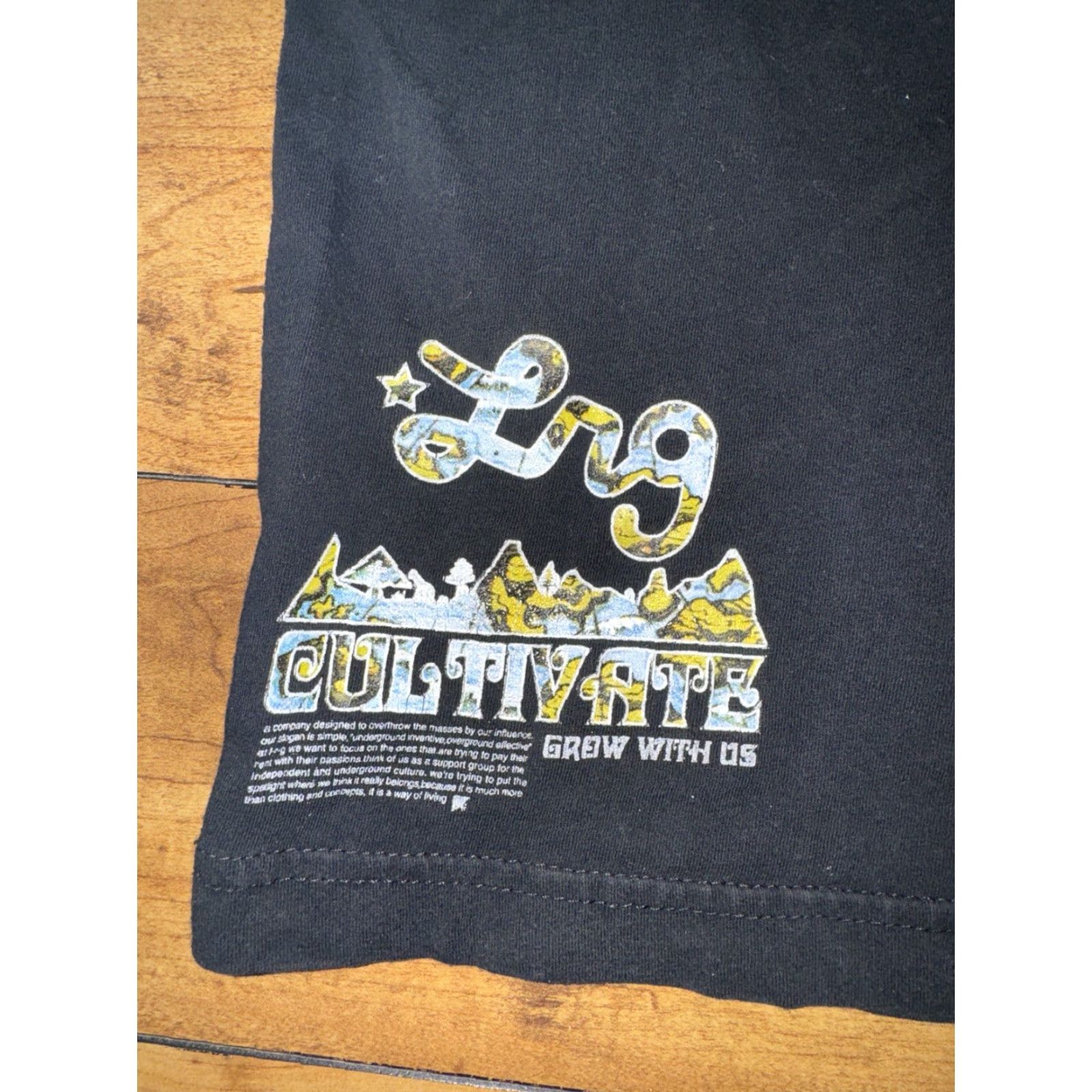 Vintage VINTAGE LRG T-Shirt Black M Streetwear Y2K Band Tee Men Size US M / EU 48-50 / 2 - 7 Thumbnail