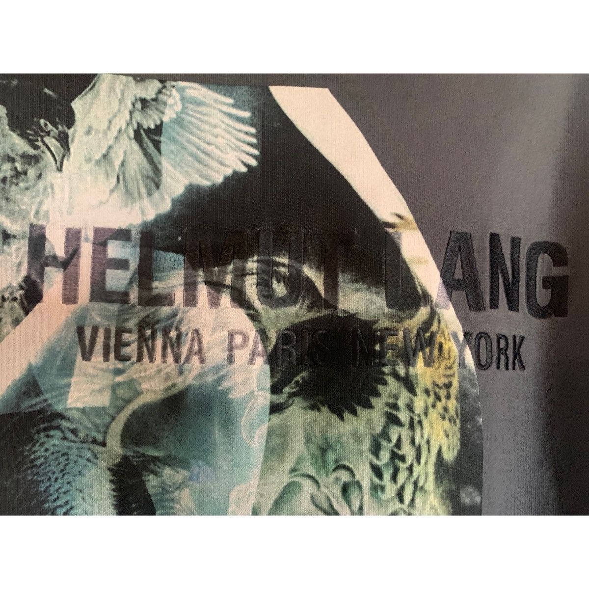 Helmut Lang HELMUT LANG EAGLE STANDARD HOODIE Size US M / EU 48-50 / 2 - 5 Thumbnail