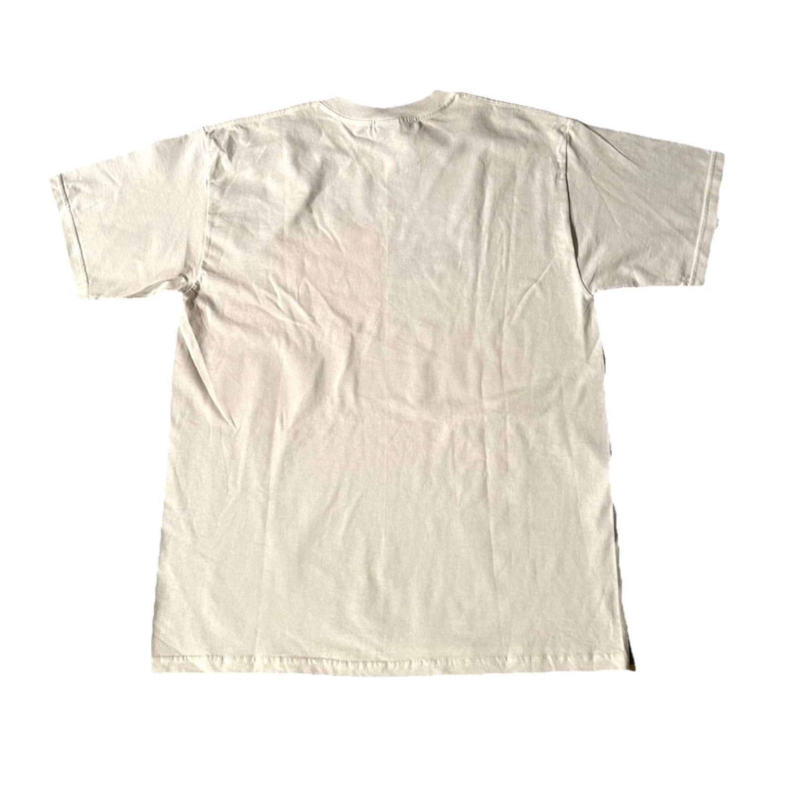 Gildan VINTAGE Gildan T-Shirt Parody 90s The Onion Satire 1990s Crew Neck Short Sleeve White L Men Mens VTG FedSex Overnight Spoof Tee Size US L / EU 52-54 / 3 - 5 Thumbnail