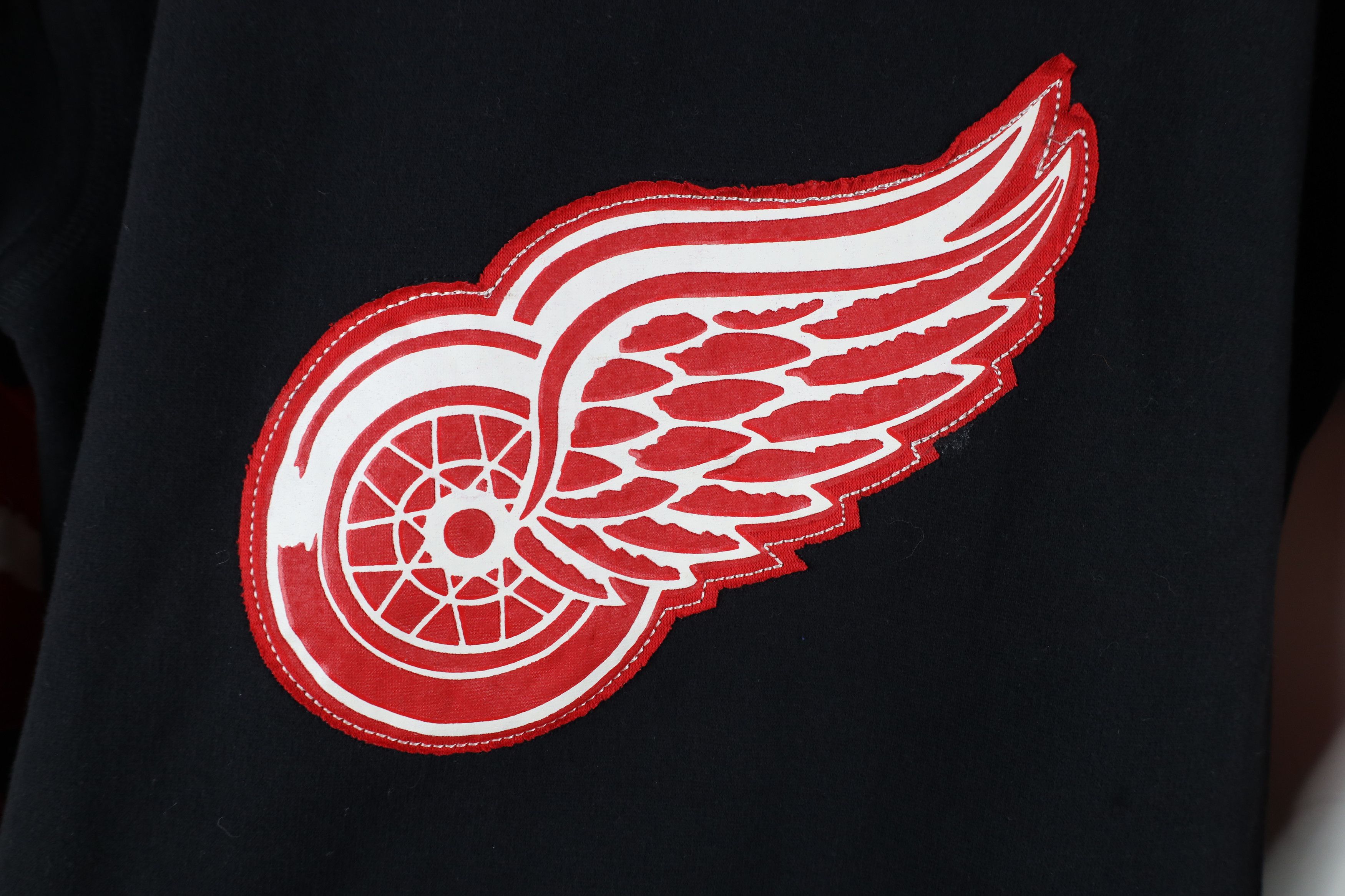 Vintage Vintage CCM Hockey Red Wings Hockey Jersey Hoodie Sweatshirt Size L / US 10 / IT 46 - 6 Thumbnail